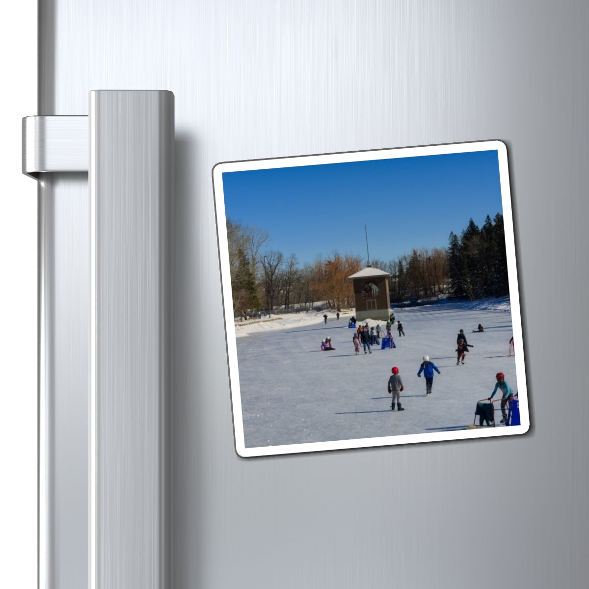 Magnets - Bowness Park Lagoon Winter