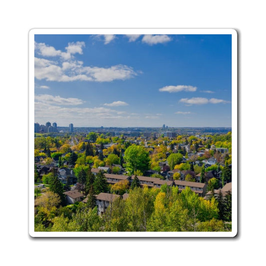 Magnets - McHugh Bluff Fall