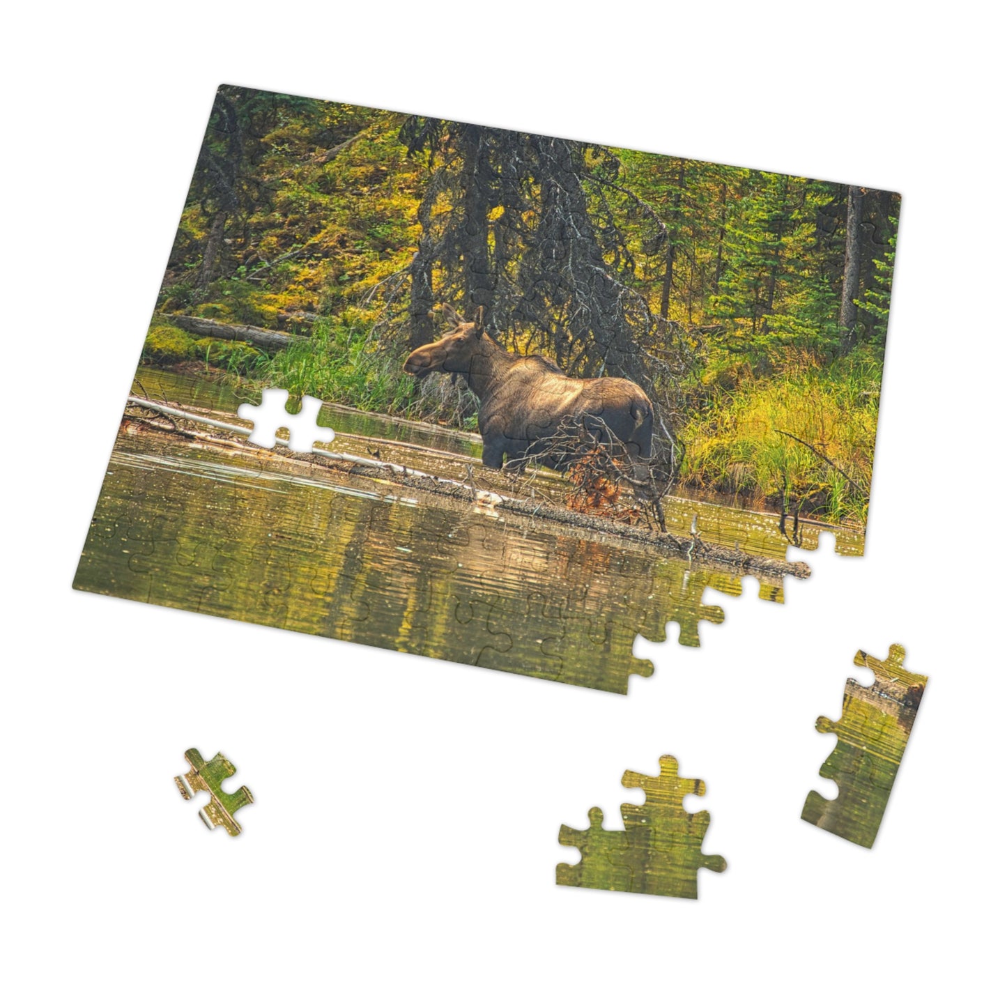 Jigsaw Puzzle (30, 110, 252, 500,1000-Piece) - Mosse Lake Moose