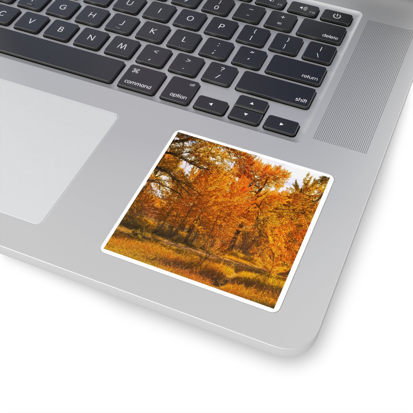 Square Stickers - Sue Higgins Park Fall Colours