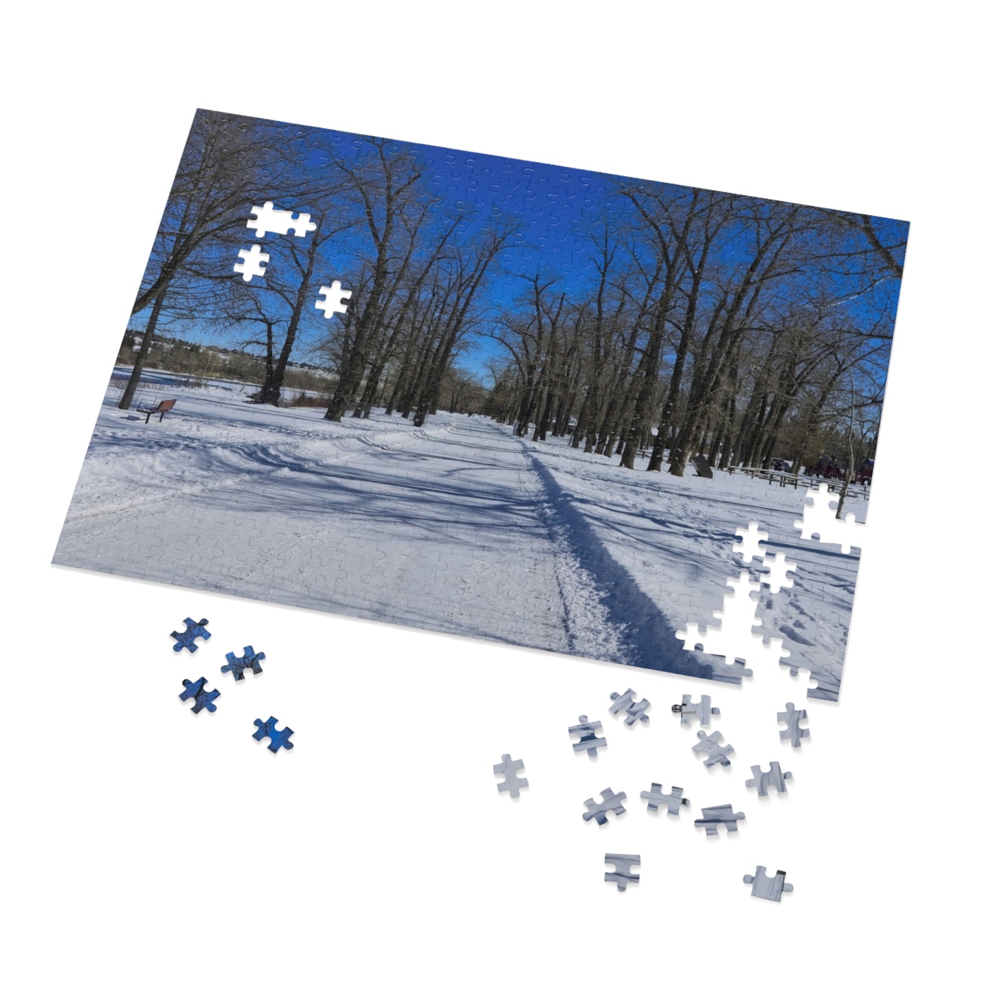 Jigsaw Puzzle (30, 110, 252, 500,1000-Piece) - Bowness Park Pathway Winter