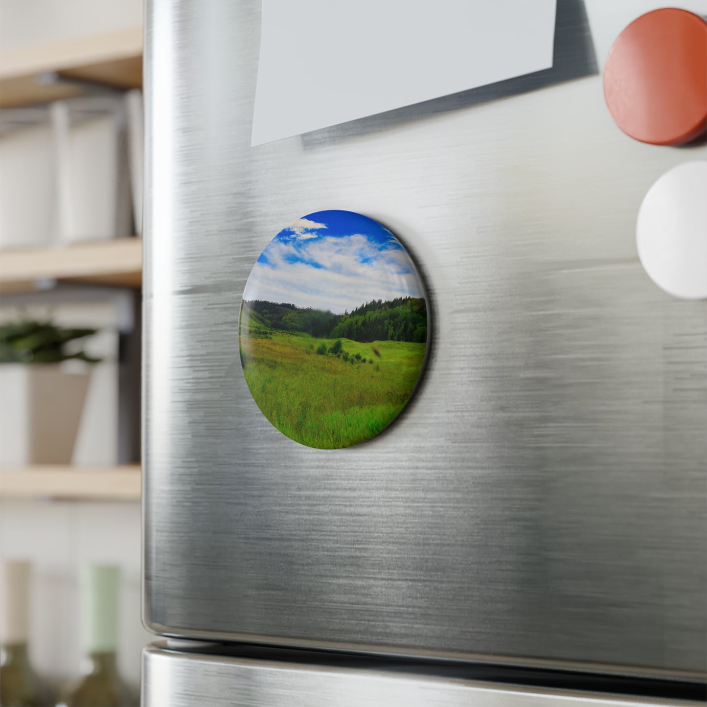 Button Magnet, Round (1 & 10 pcs) - Big Hill Springs Park Entrance