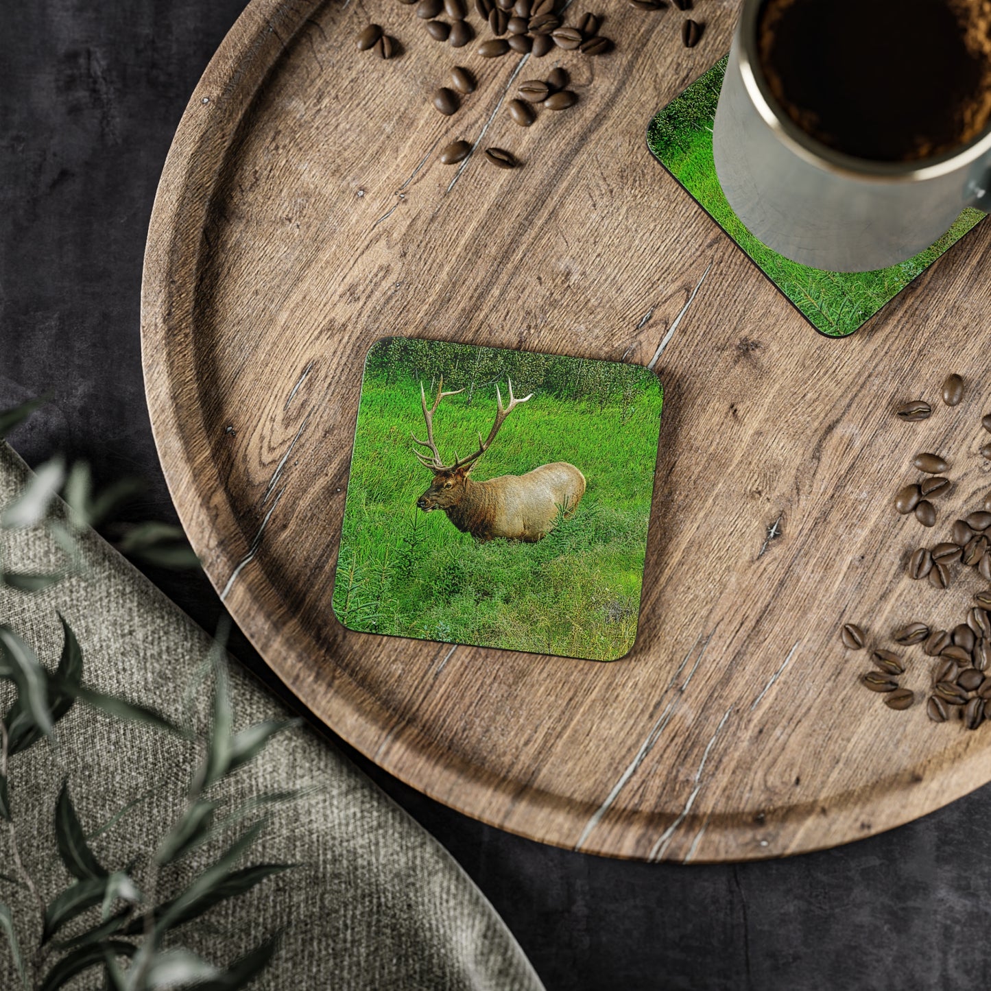 Coasters - Miette River Elk