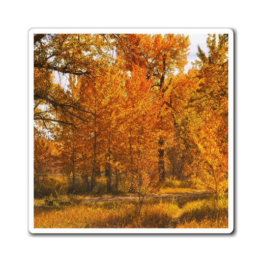 Magnets - Sue Higgins Park Fall Colours