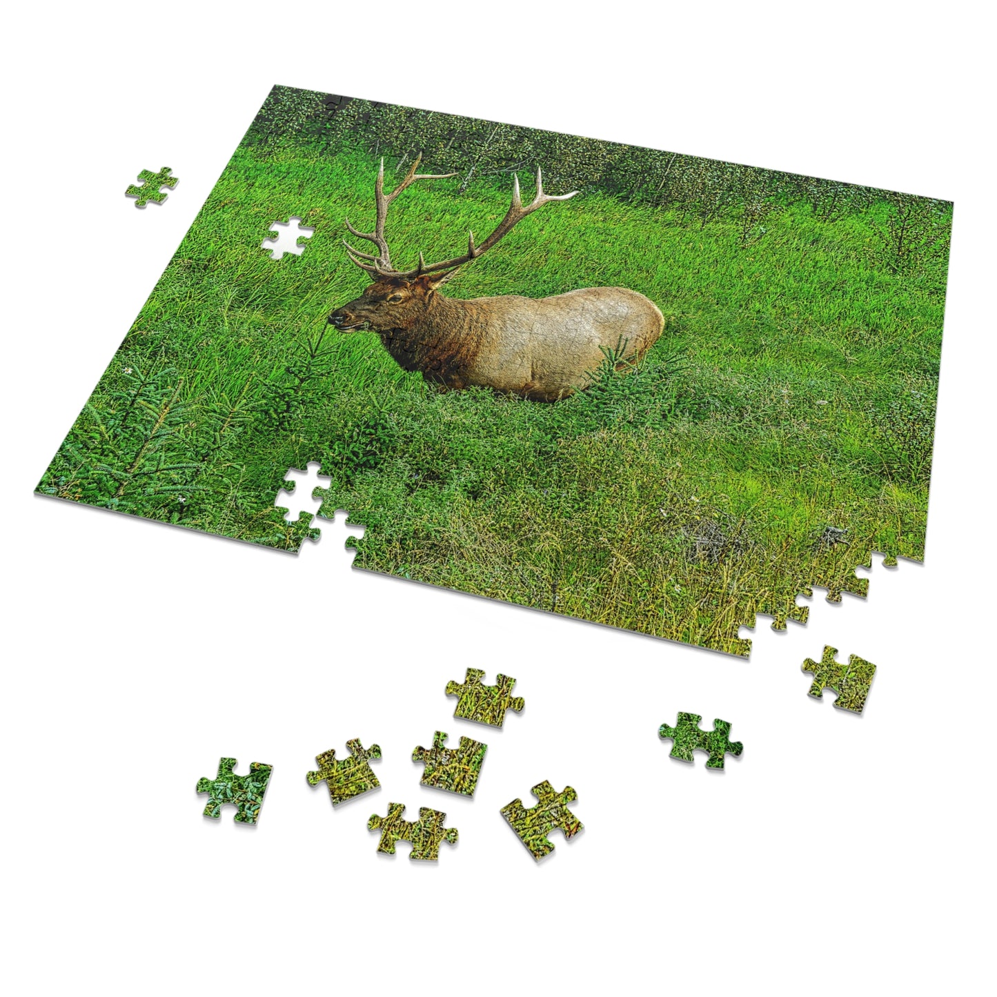 Jigsaw Puzzle (30, 110, 252, 500,1000-Piece) - Jasper National Park Elk