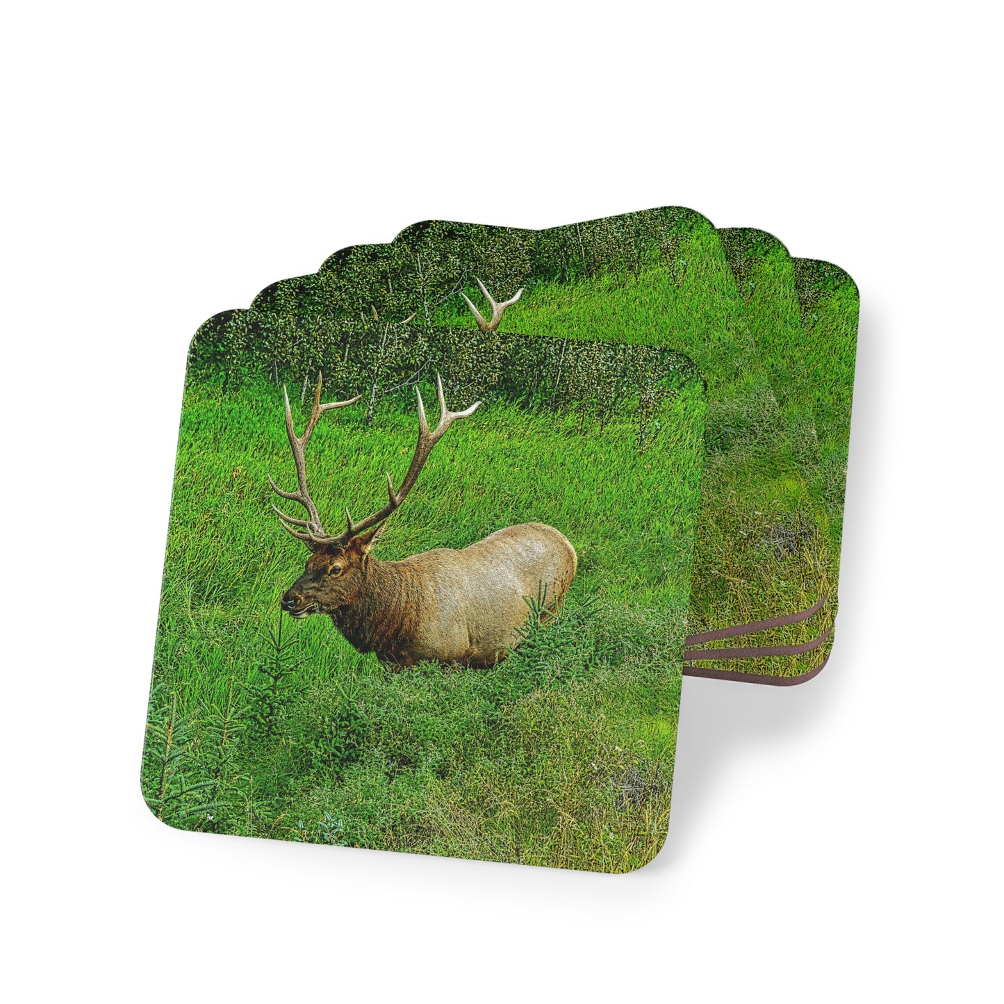 Coasters - Miette River Elk