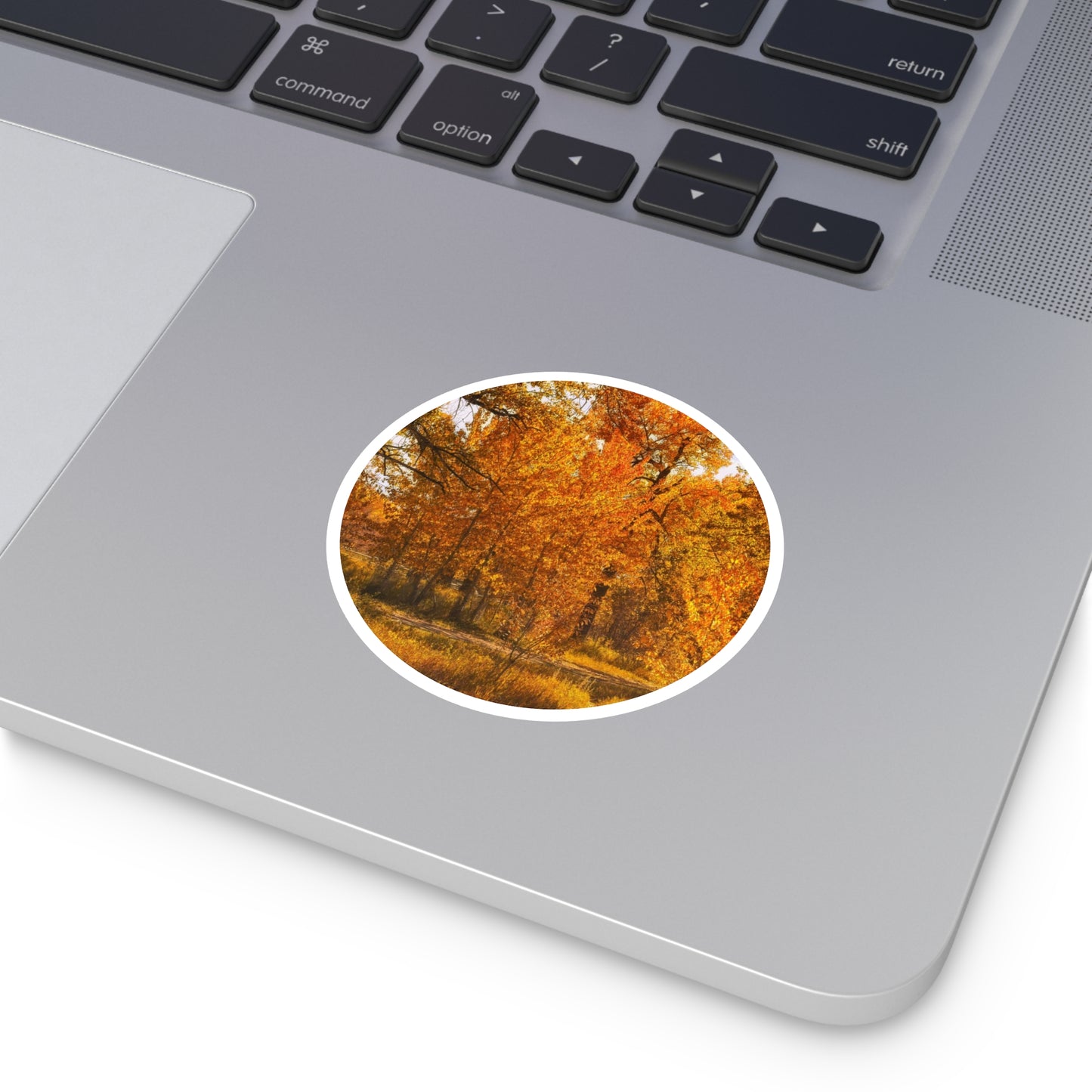 Round Stickers - Sue Higgins Park Fall Colours