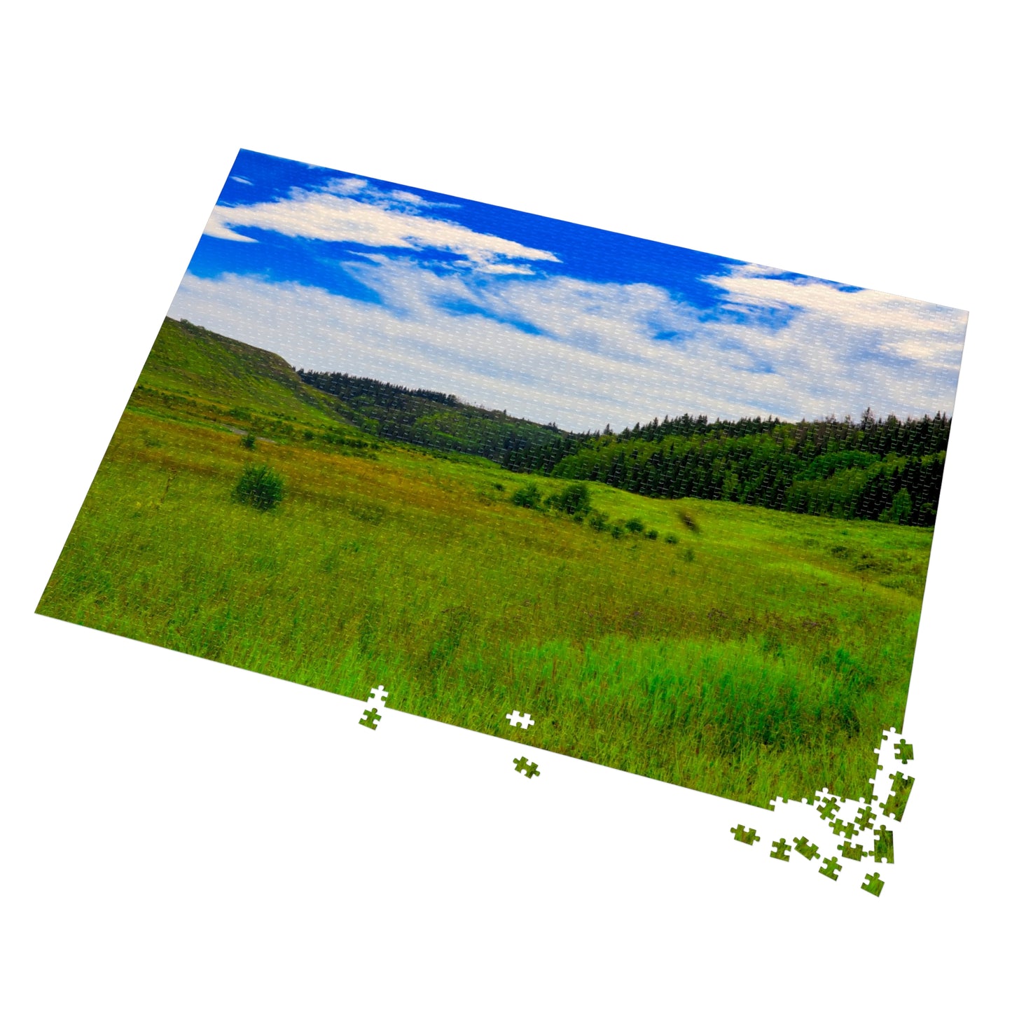 Jigsaw Puzzle - Big Hill Springs Park Entrance