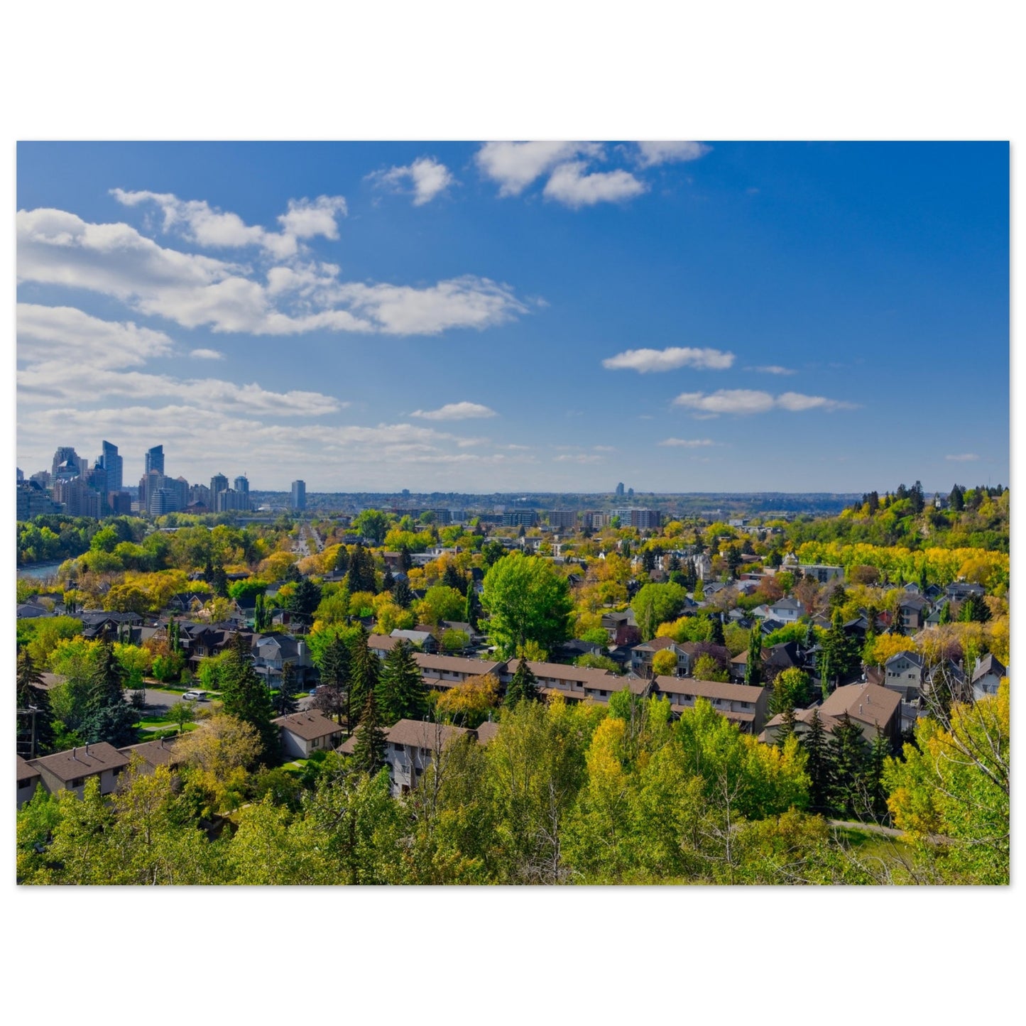 Premium Semi-Glossy Poster Print - McHugh Bluff Fall