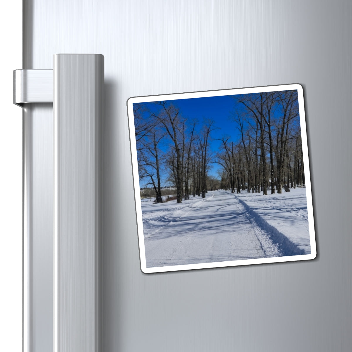 Magnets - Bowness Park Pathway Winter