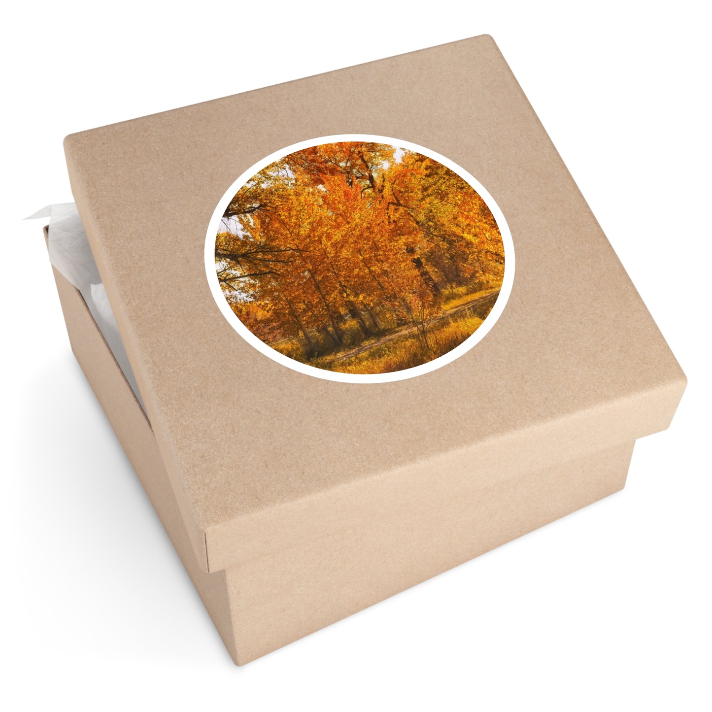 Round Stickers - Sue Higgins Park Fall Colours