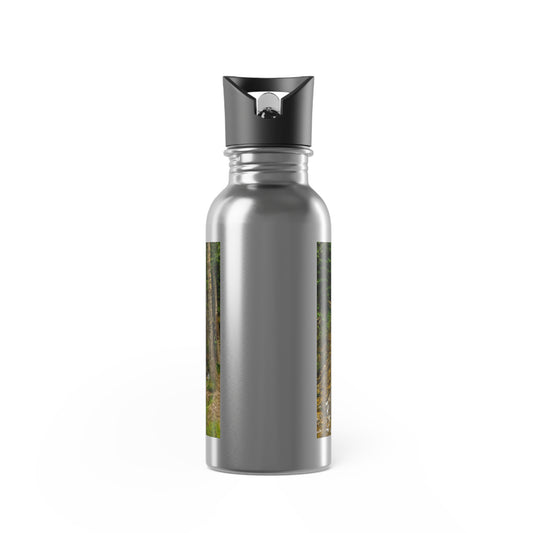 Stainless Steel Water Bottle With Straw, 20oz - Big Hill Springs Park Waterfall