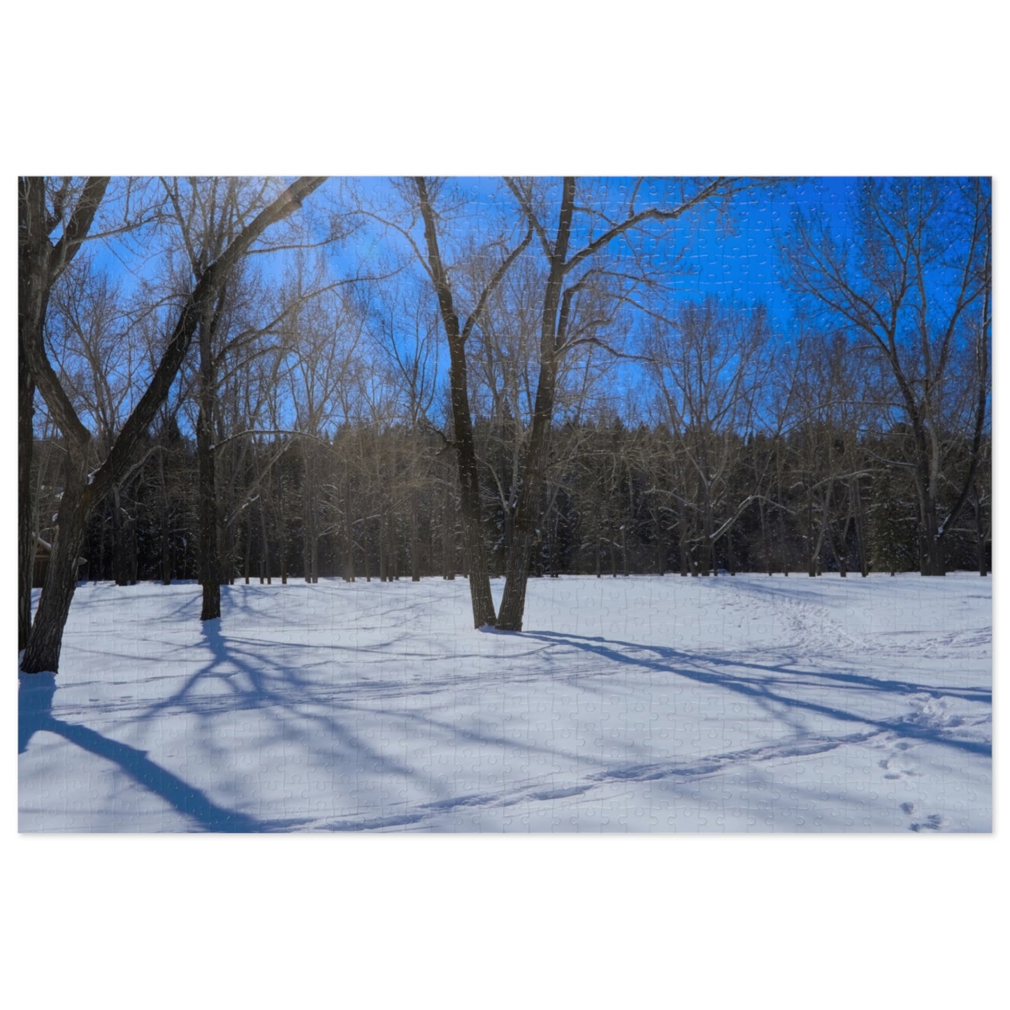 Jigsaw Puzzle (30, 110, 252, 500,1000-Piece) - Bowness Park Field Winter