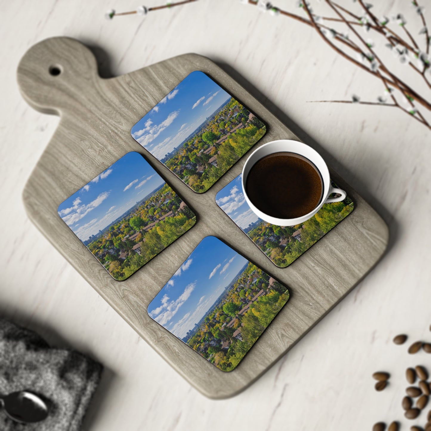 Coasters - McHugh Bluff Fall