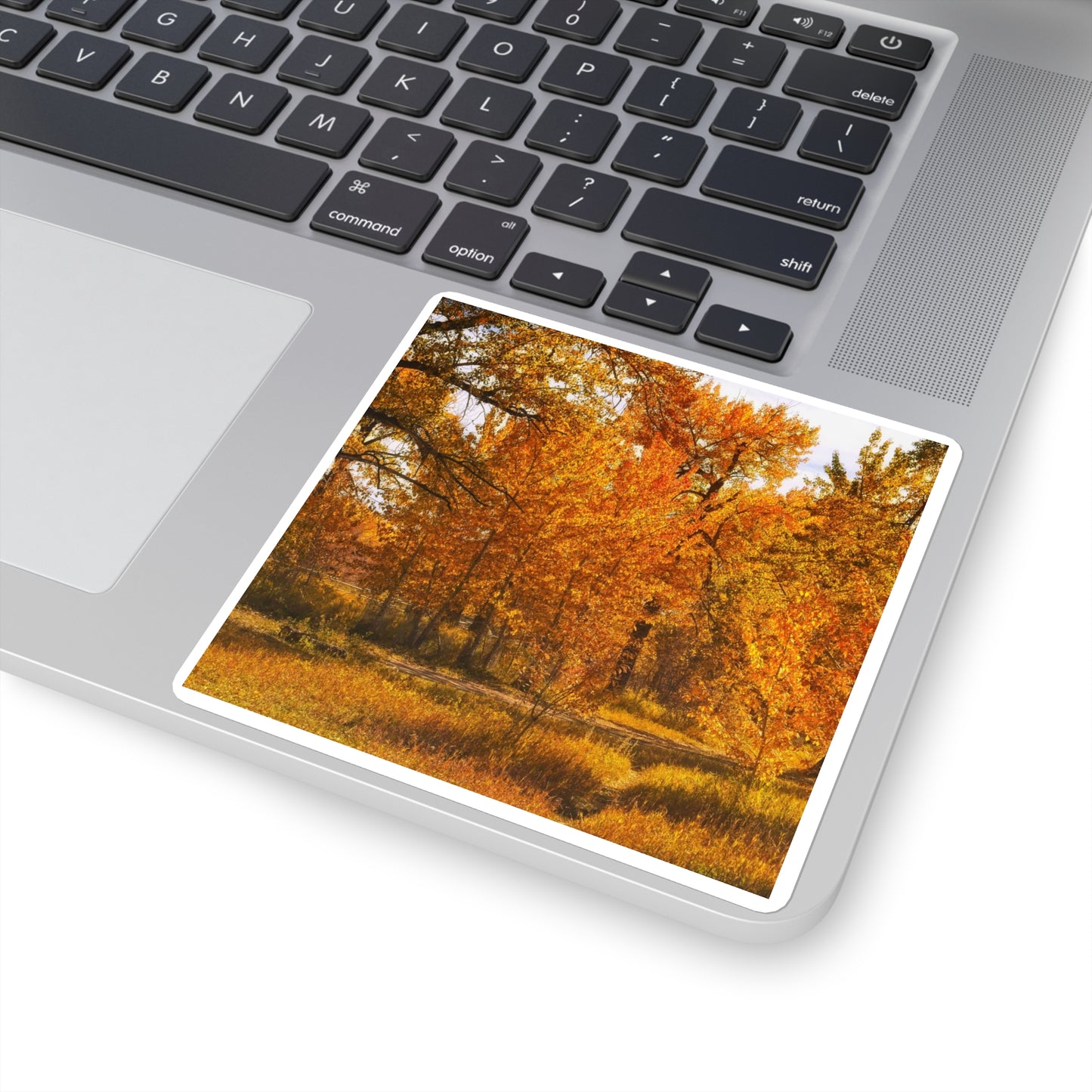 Square Stickers - Sue Higgins Park Fall Colours