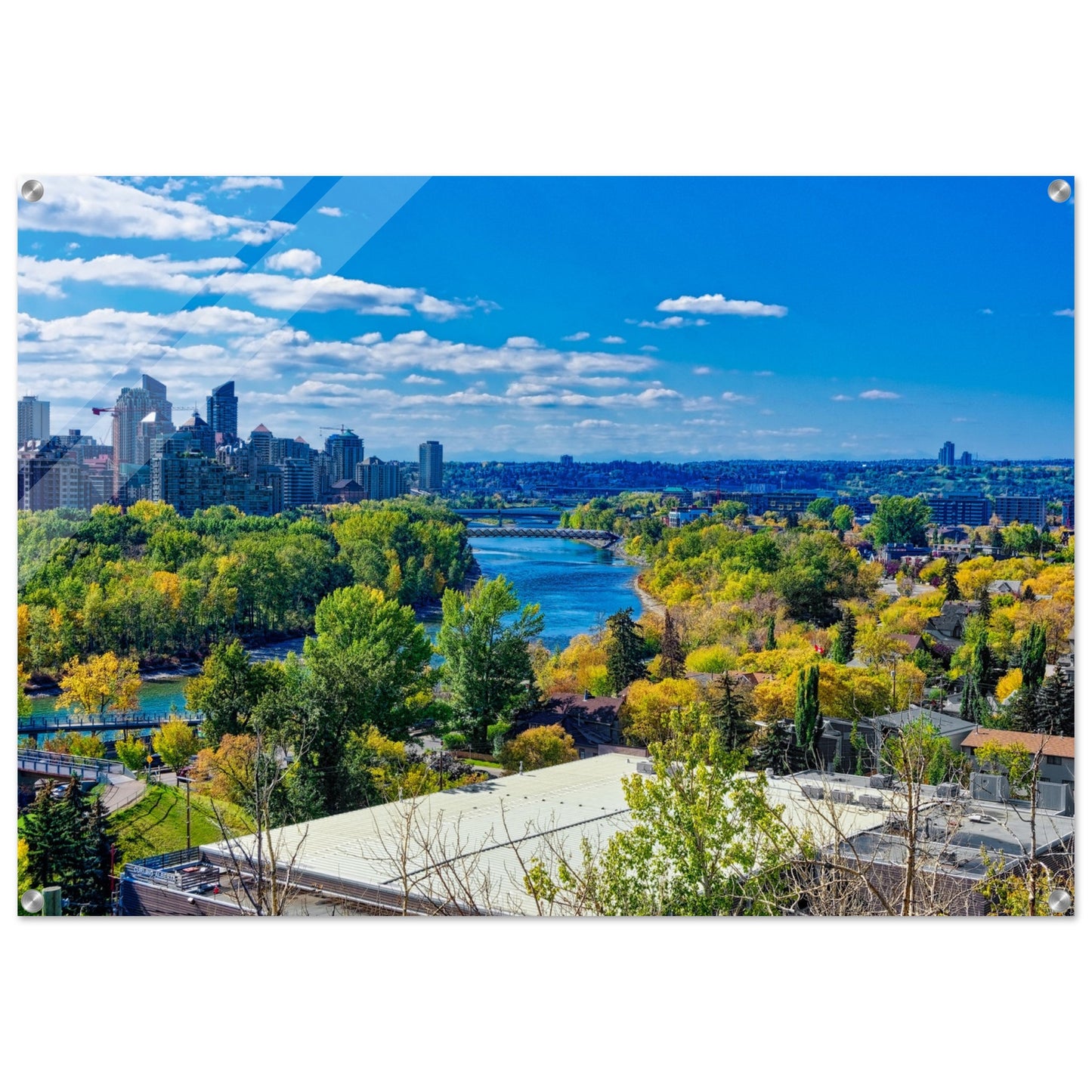 Acrylic Print - Bow River Peace Bridge McHugh Bluff HDR
