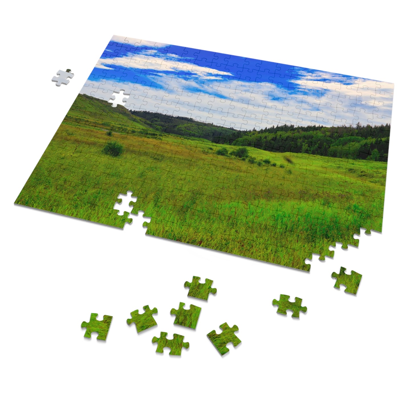 Jigsaw Puzzle - Big Hill Springs Park Entrance