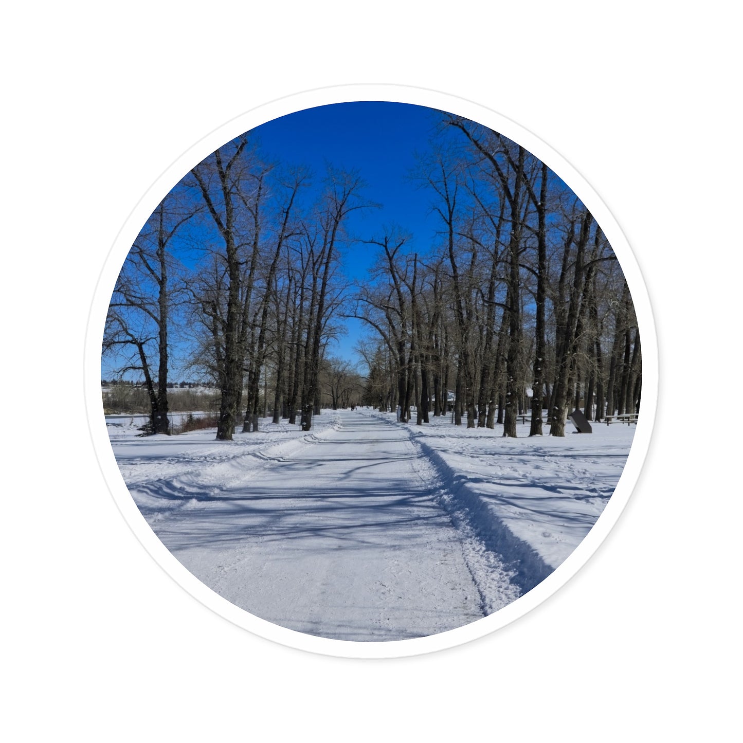 Round Stickers - Bowness Park Pathway Winter