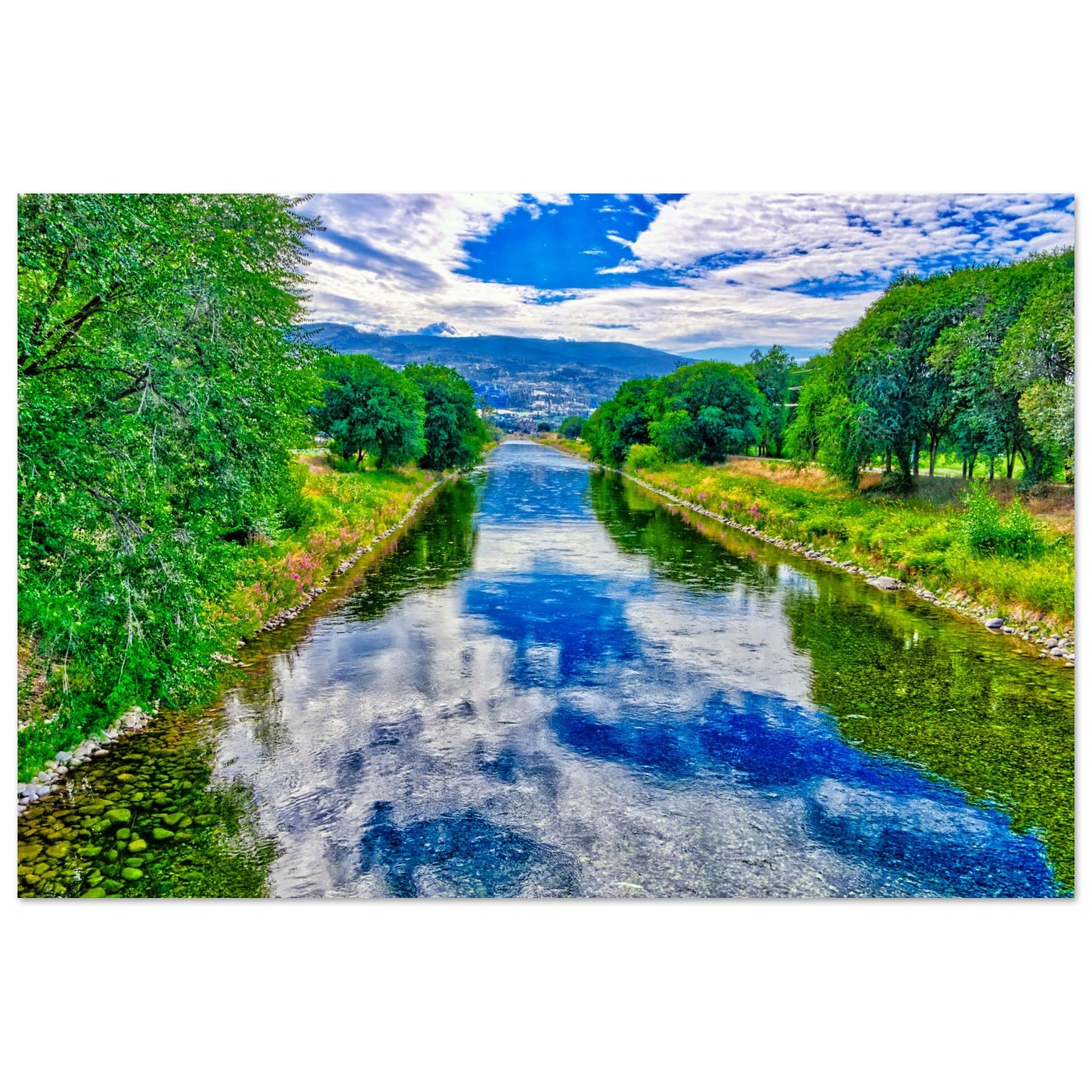 16537ef1-39b6-42cc-9ff1-73f98e33b438