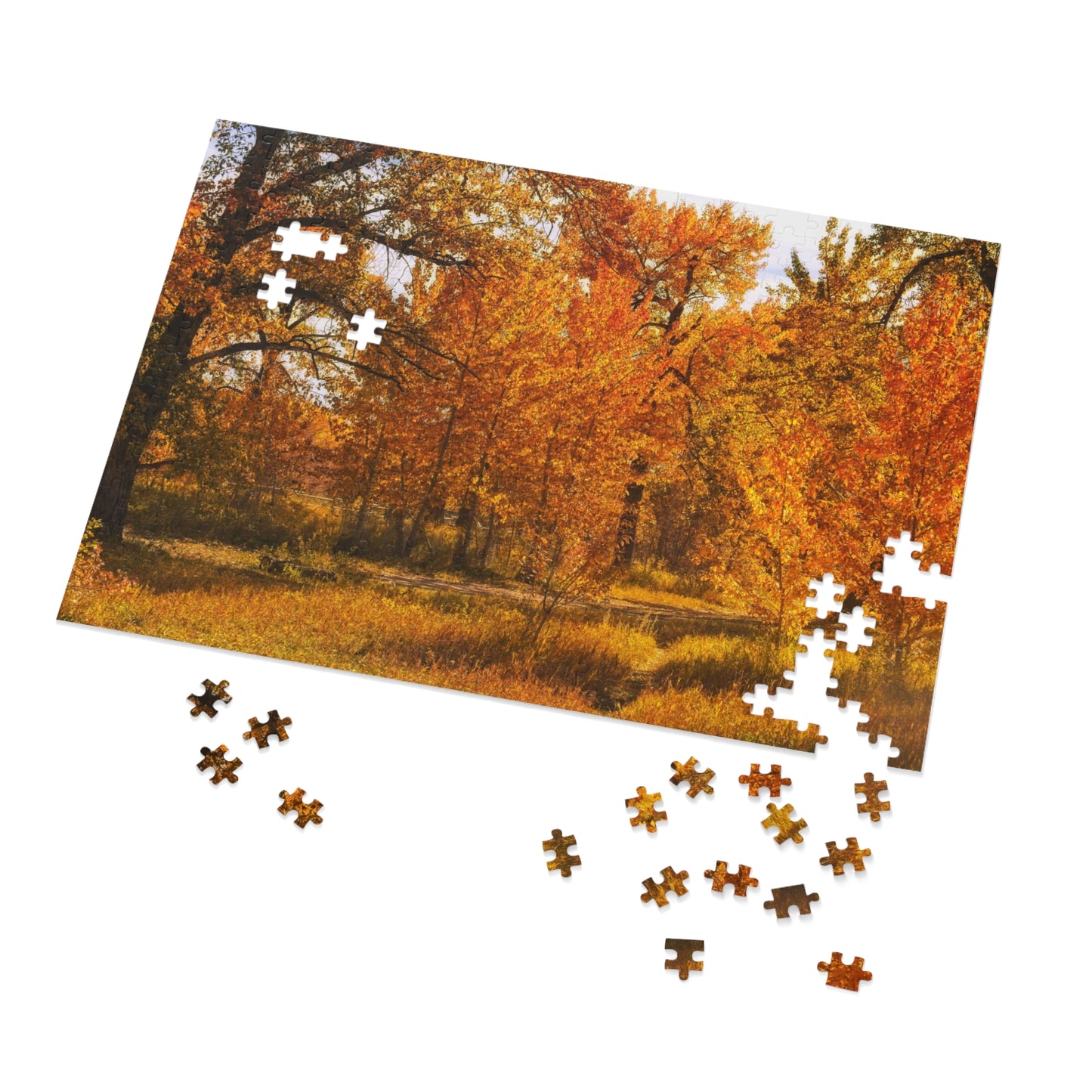 Jigsaw Puzzle (30, 110, 252, 500,1000-Piece) - Sue Higgins Park Fall Trees