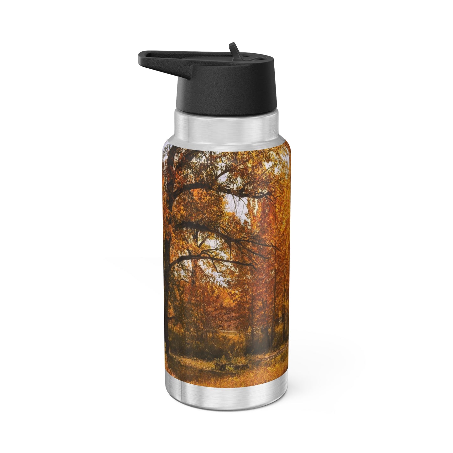 Gator Tumbler, 32oz - Sue Higgins Park Fall Trees
