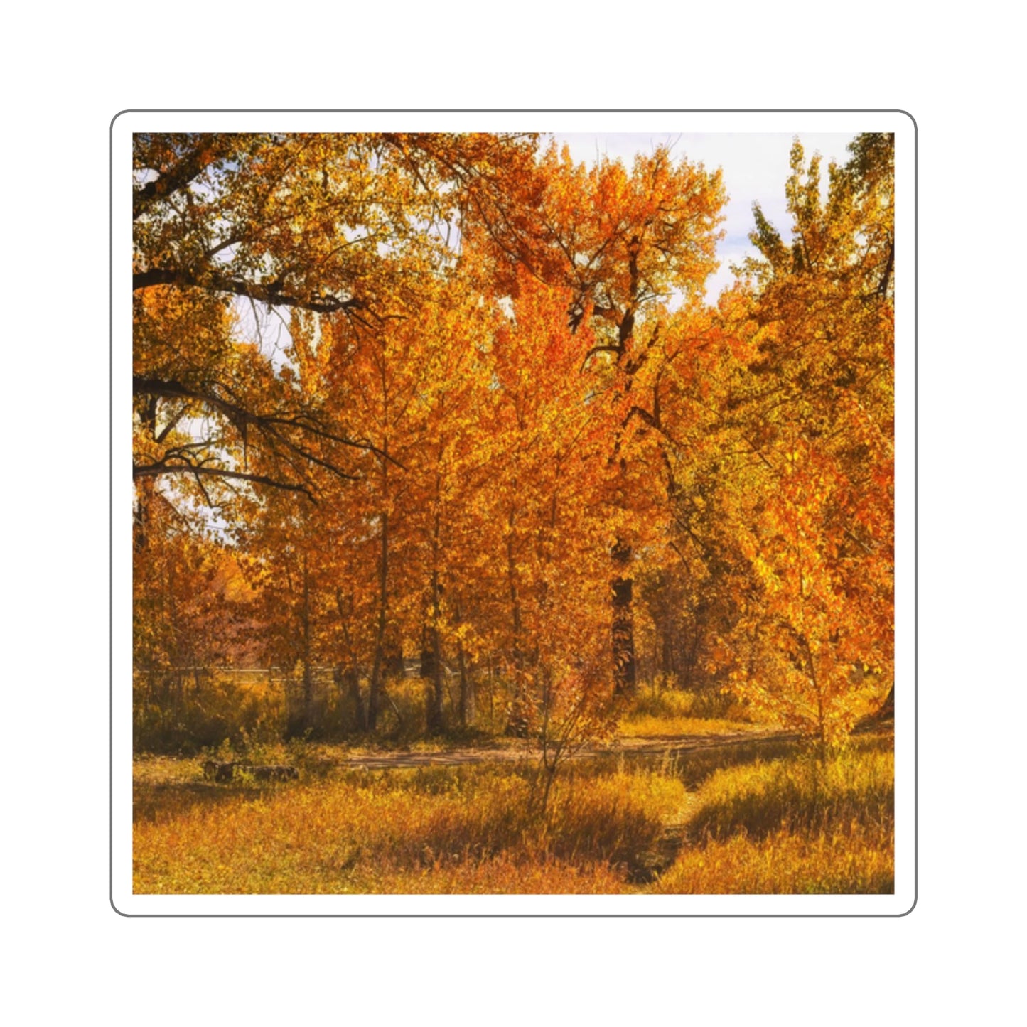 Square Stickers - Sue Higgins Park Fall Colours