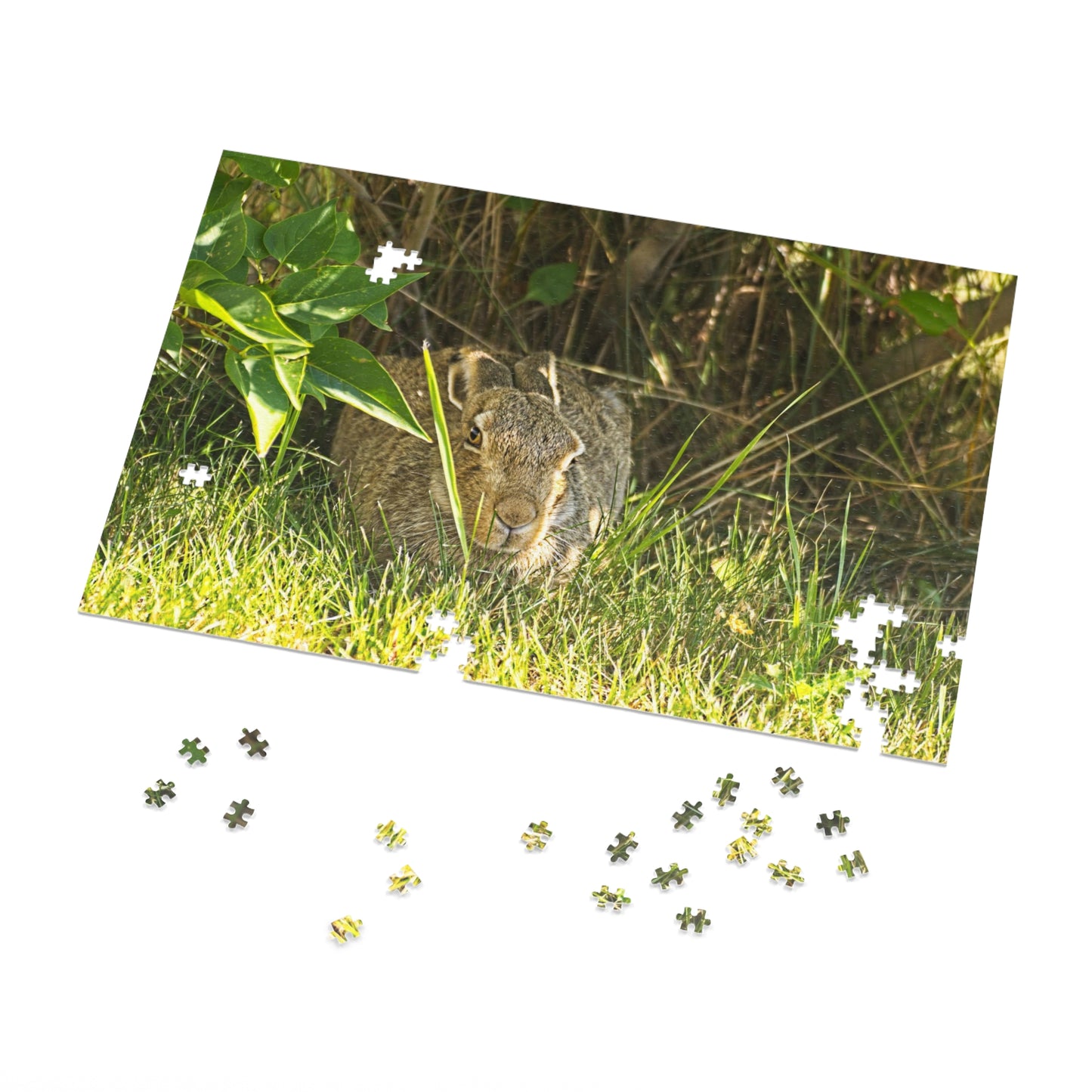 Jigsaw Puzzle (30, 110, 252, 500,1000-Piece) - Rabbit