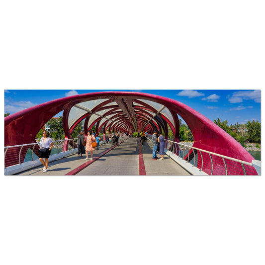 16d095a7-207b-4e69-ab2f-4fb50cfcef92