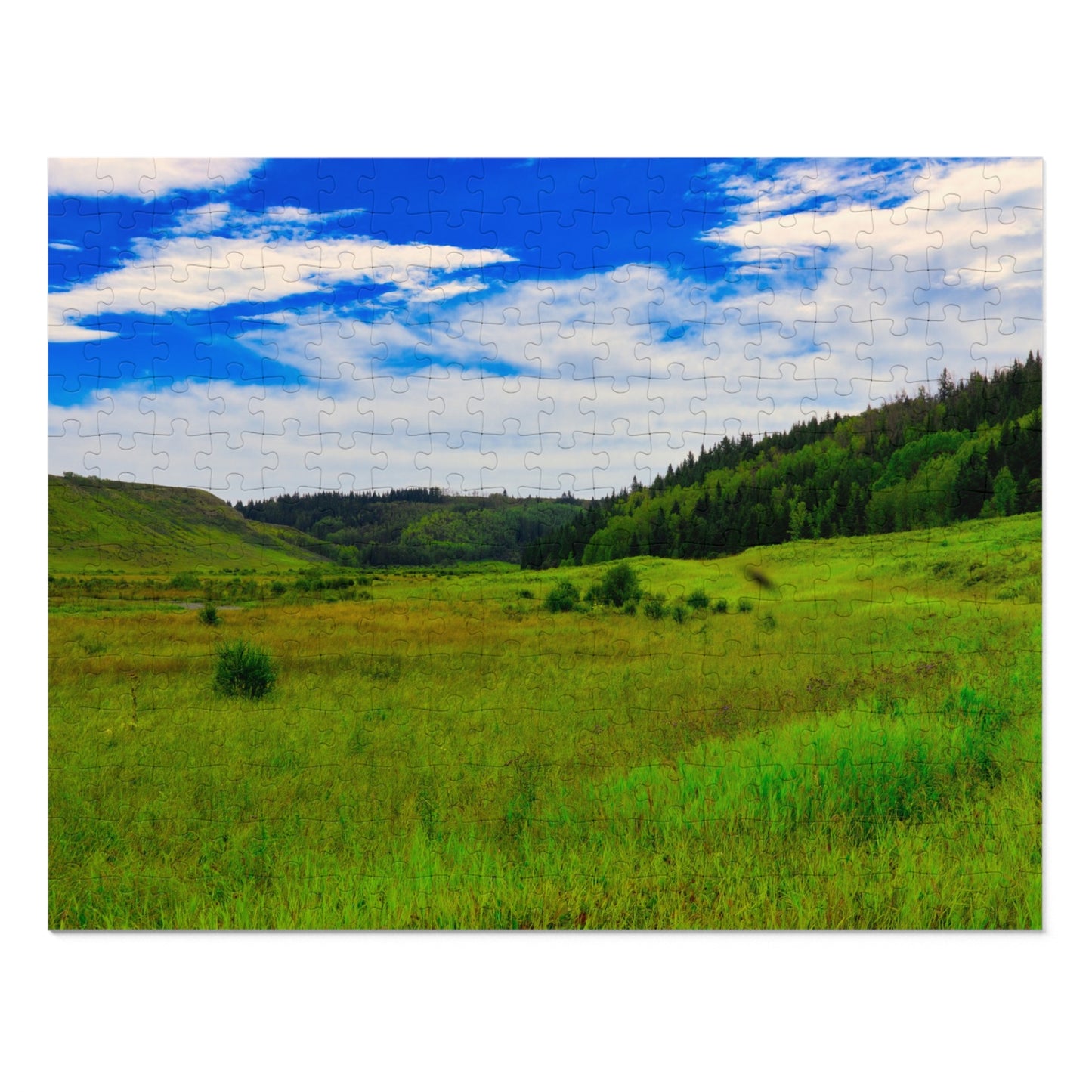 Jigsaw Puzzle - Big Hill Springs Park Entrance