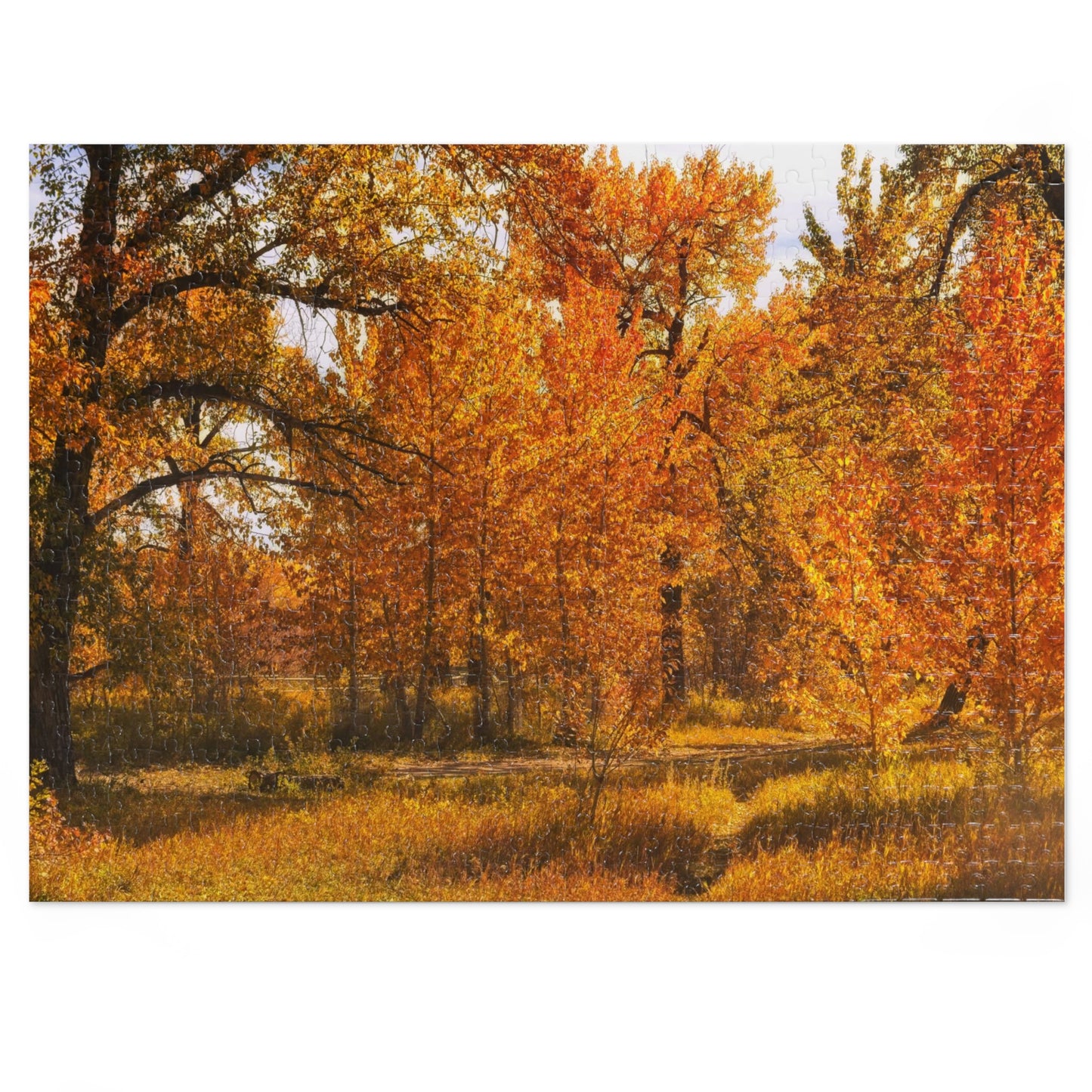 Jigsaw Puzzle (30, 110, 252, 500,1000-Piece) - Sue Higgins Park Fall Trees
