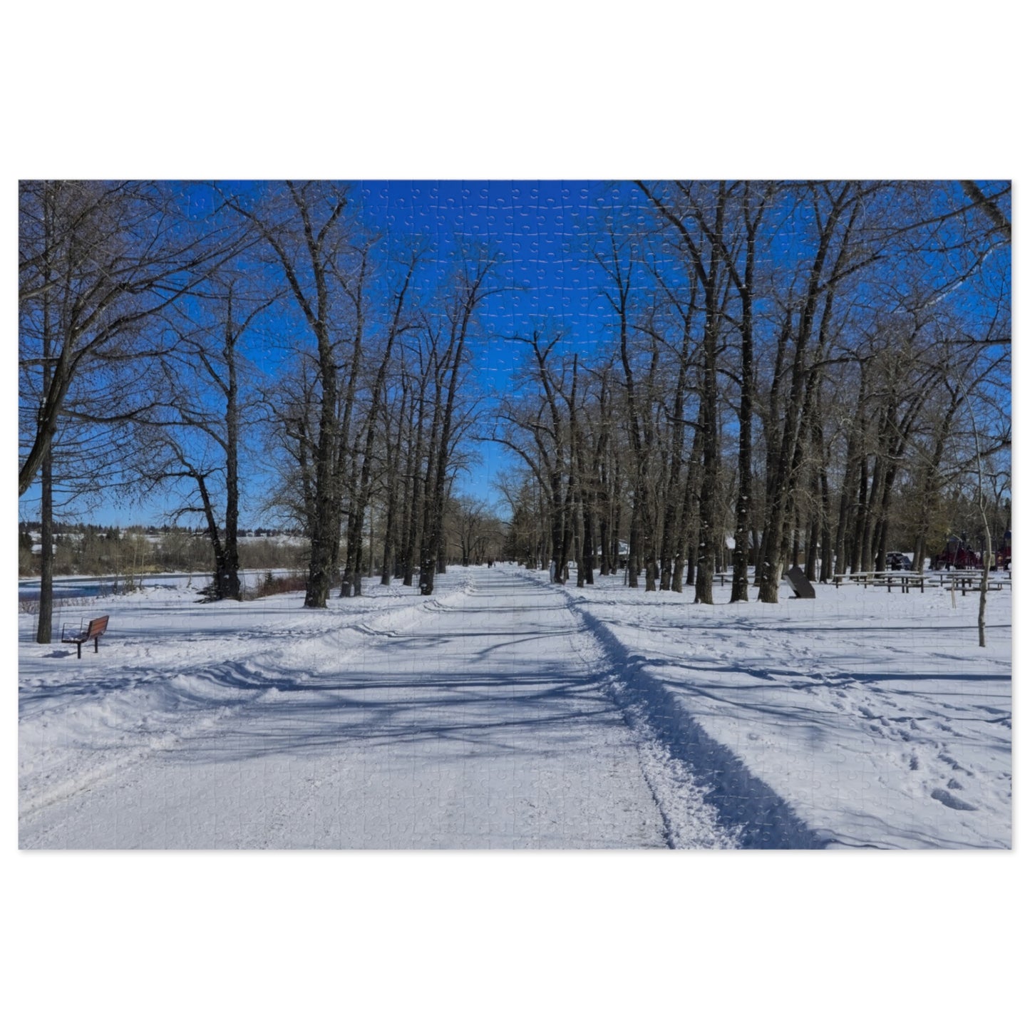 Jigsaw Puzzle (30, 110, 252, 500,1000-Piece) - Bowness Park Pathway Winter