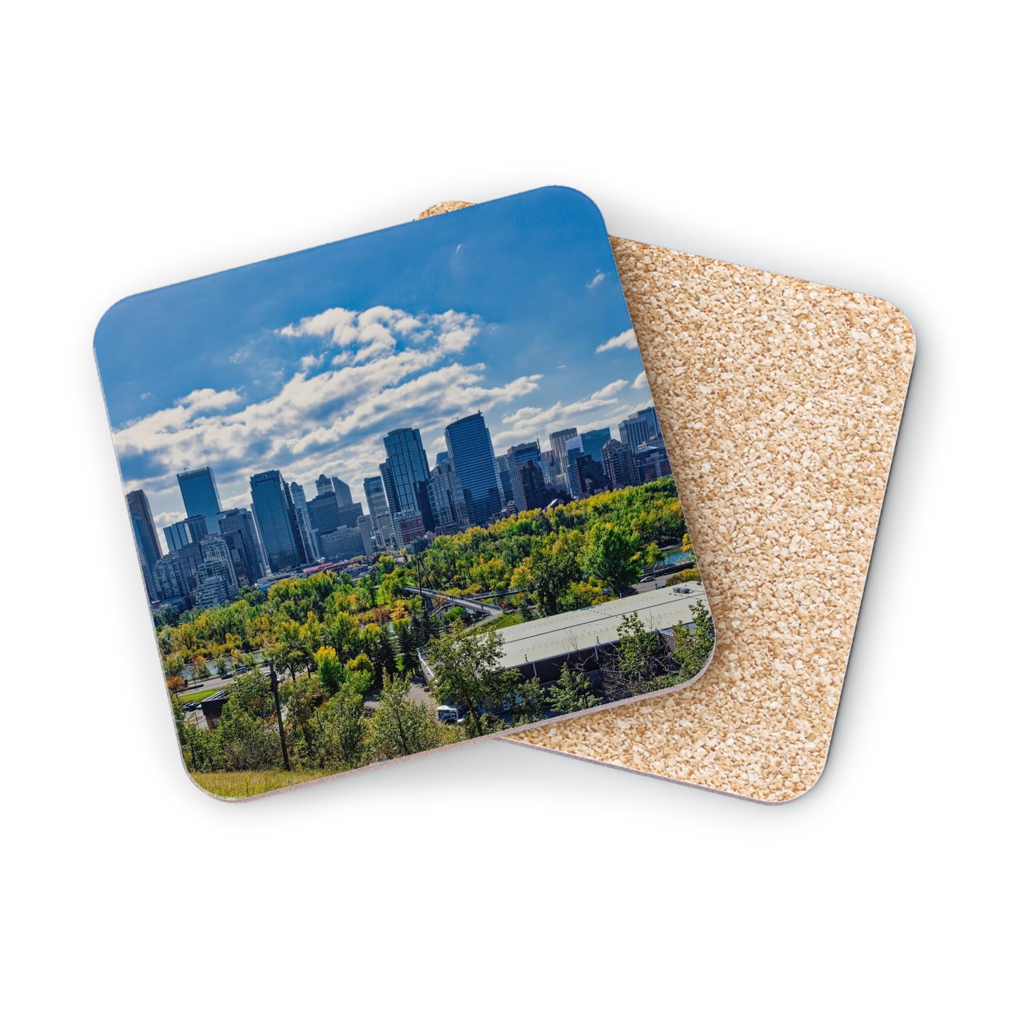 Coasters - Downtown Calgary McHugh Bluff Fall