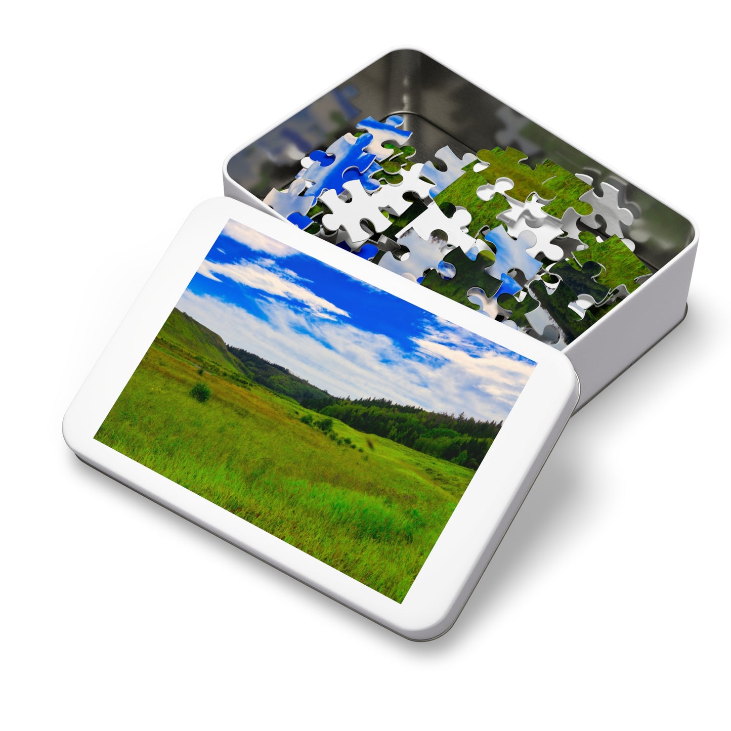 Jigsaw Puzzle - Big Hill Springs Park Entrance