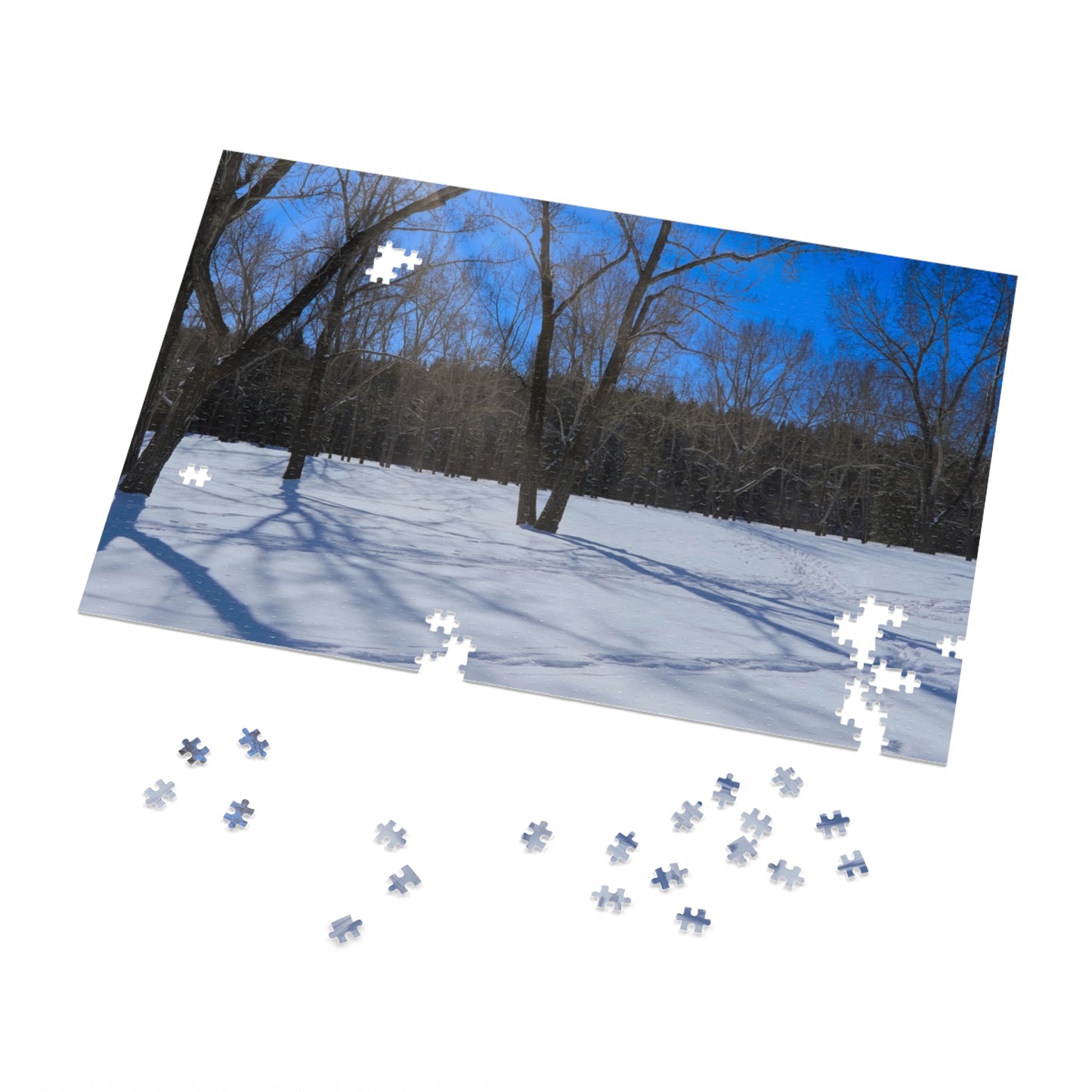 Jigsaw Puzzle (30, 110, 252, 500,1000-Piece) - Bowness Park Field Winter