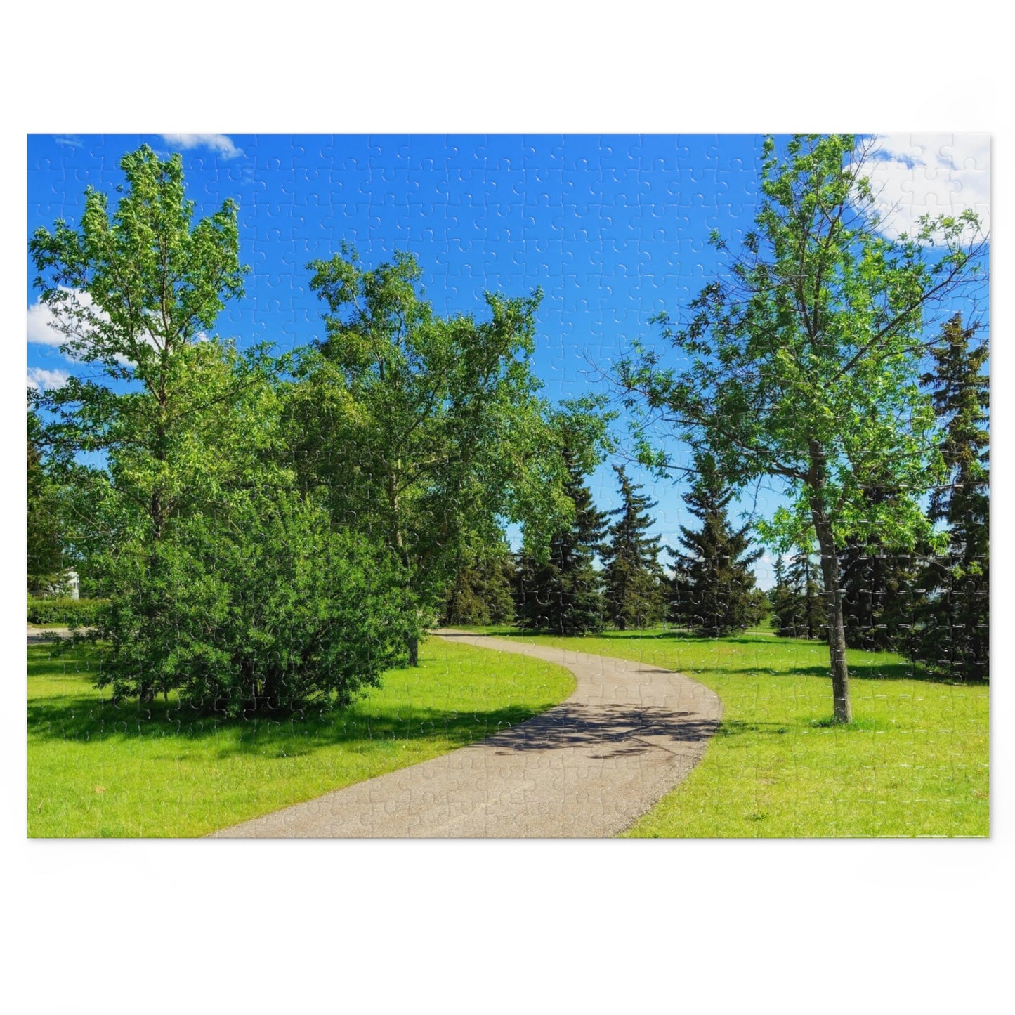 Jigsaw Puzzle (30, 110, 252, 500,1000-Piece) - Calgary in the Summer