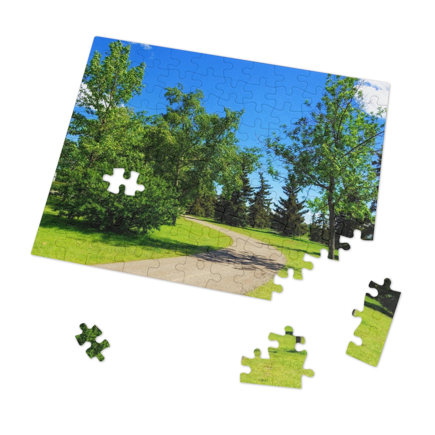 Jigsaw Puzzle (30, 110, 252, 500,1000-Piece) - Calgary in the Summer