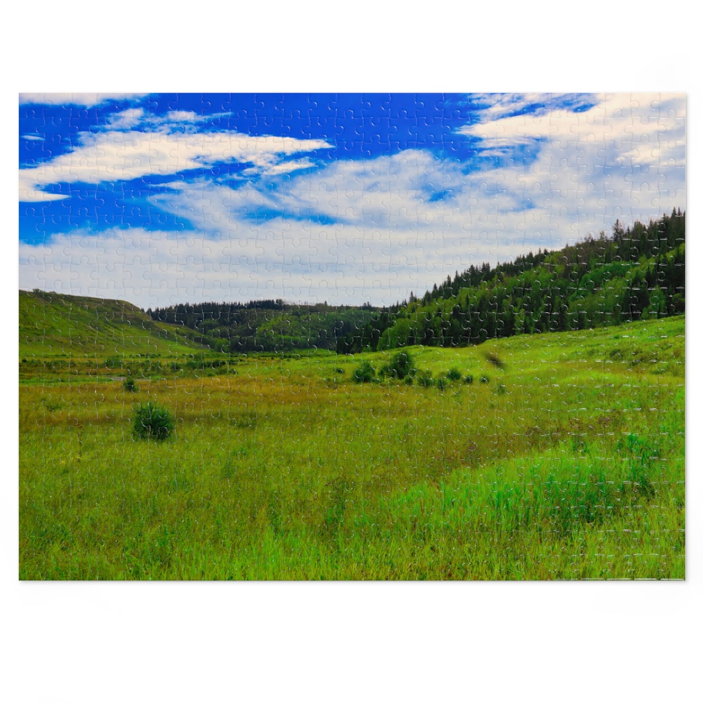 Jigsaw Puzzle - Big Hill Springs Park Entrance