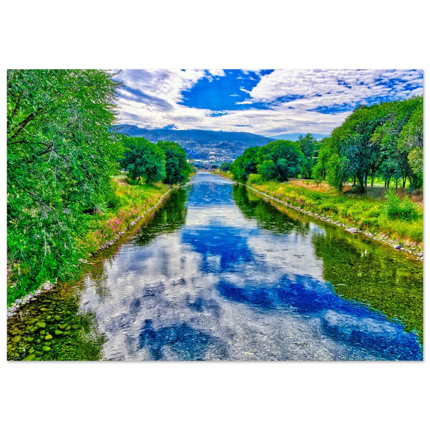 17677e63-2886-454e-a8d9-f5c8f1a099cb