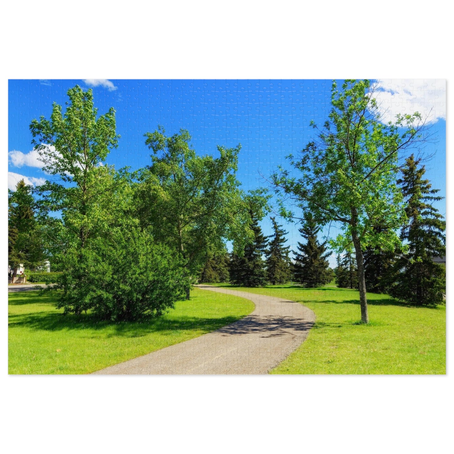 Jigsaw Puzzle (30, 110, 252, 500,1000-Piece) - Calgary in the Summer