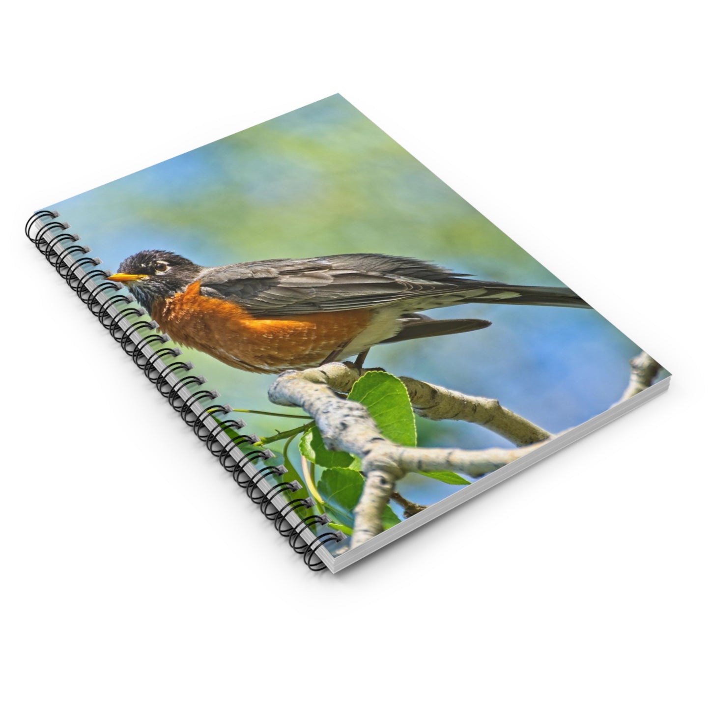 Ruled Line Spiral Notebook - Carburn Park Bird