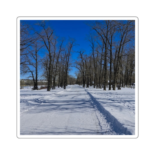 Square Stickers - Bowness Park Pathway Winter
