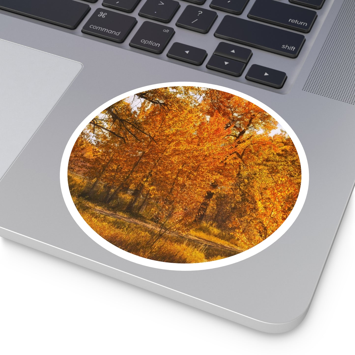 Round Stickers - Sue Higgins Park Fall Colours