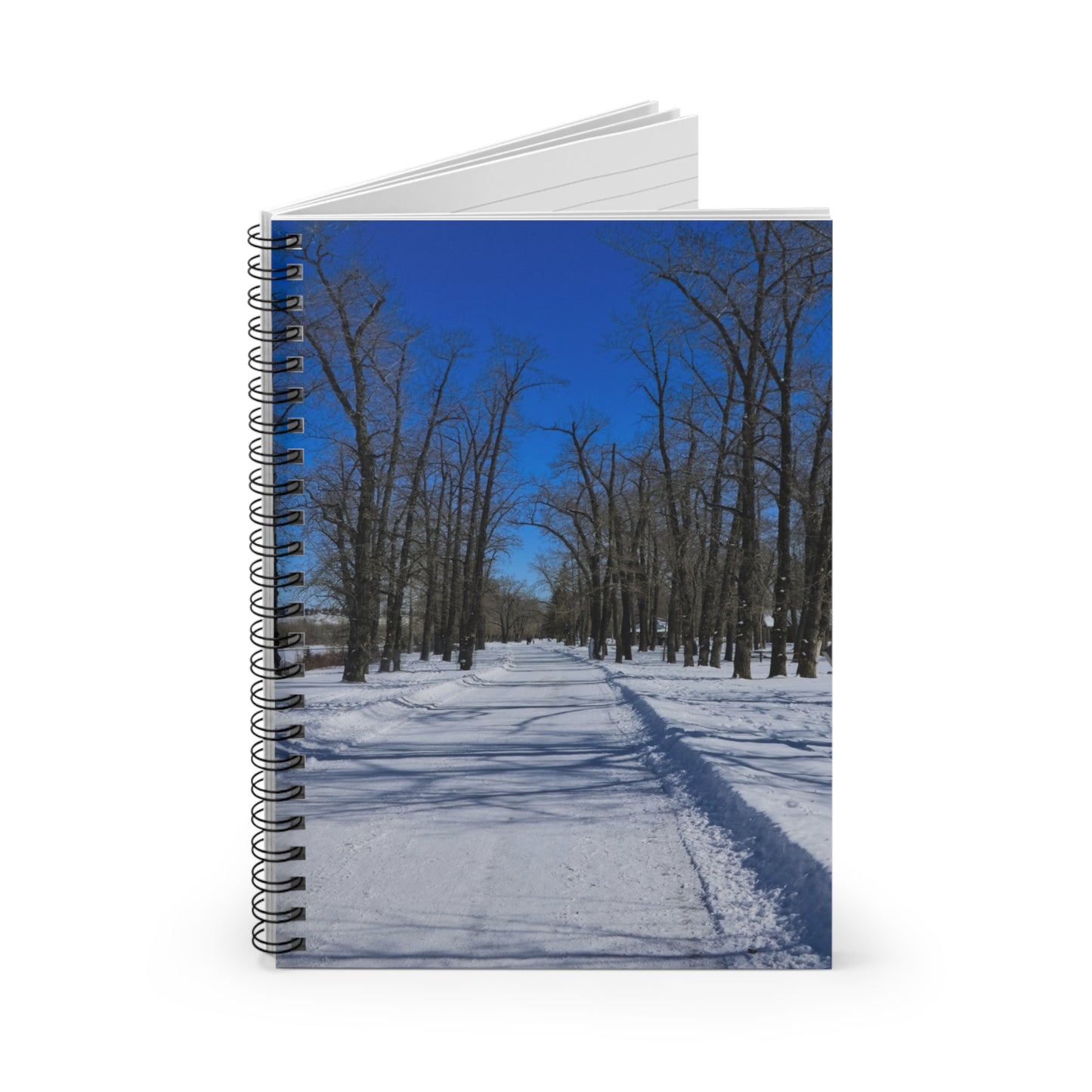 Ruled Line Spiral Notebook - Bowness Park Pathway Winter