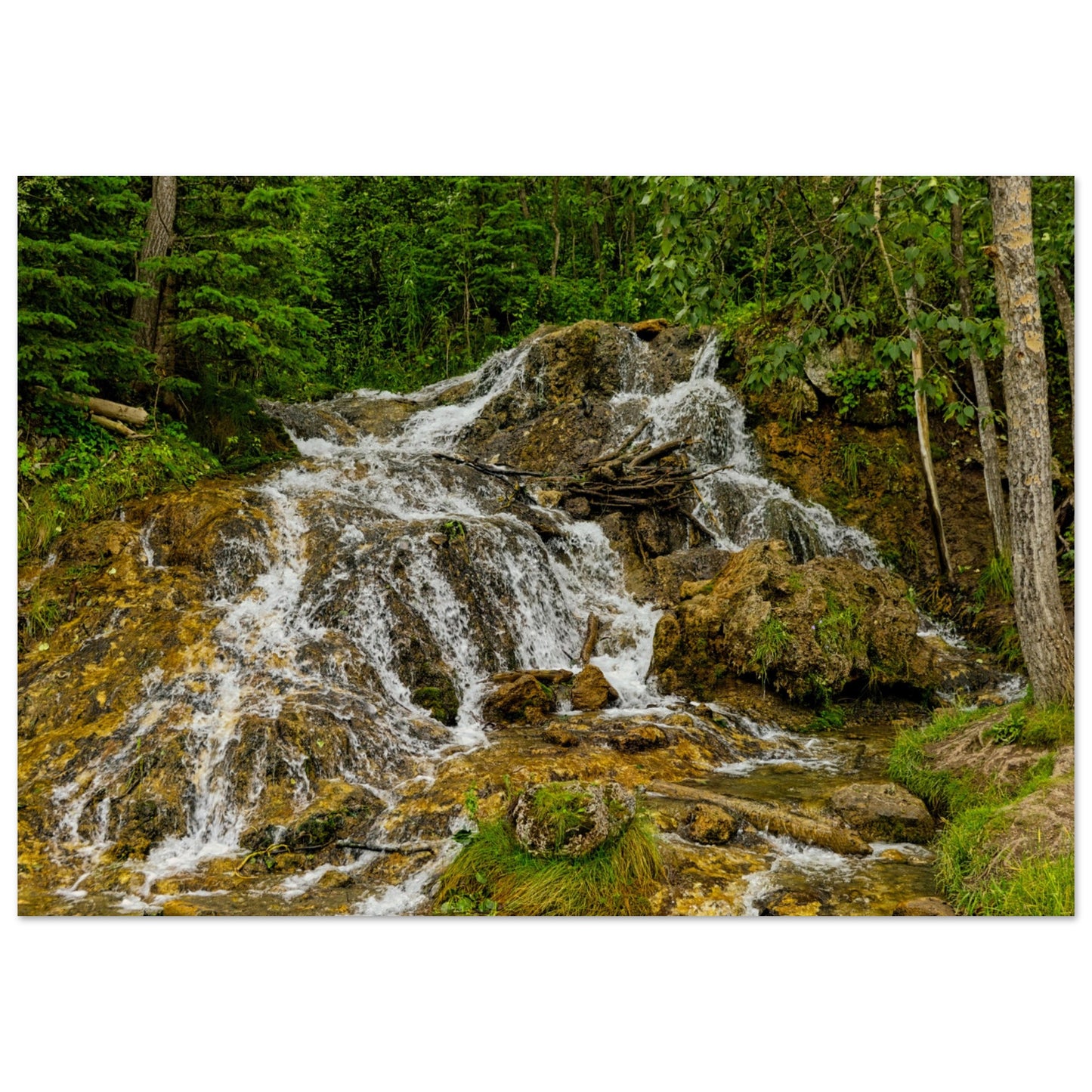 17d94032-7679-4954-bbc0-f392f0ba8f82
