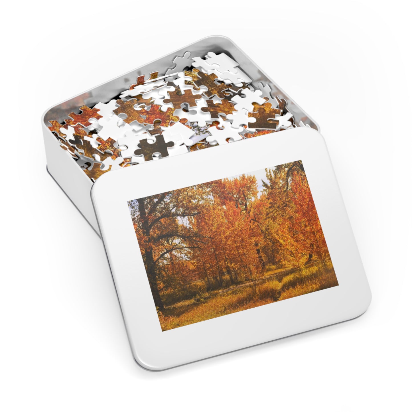 Jigsaw Puzzle (30, 110, 252, 500,1000-Piece) - Sue Higgins Park Fall Trees