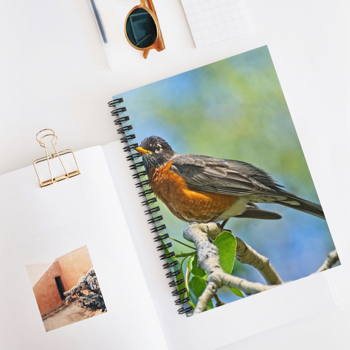 Ruled Line Spiral Notebook - Carburn Park Bird