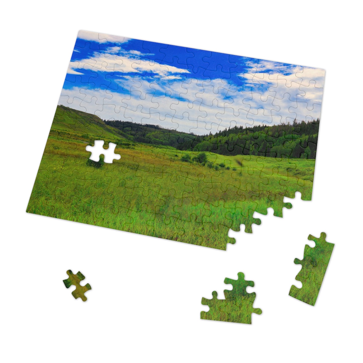 Jigsaw Puzzle - Big Hill Springs Park Entrance