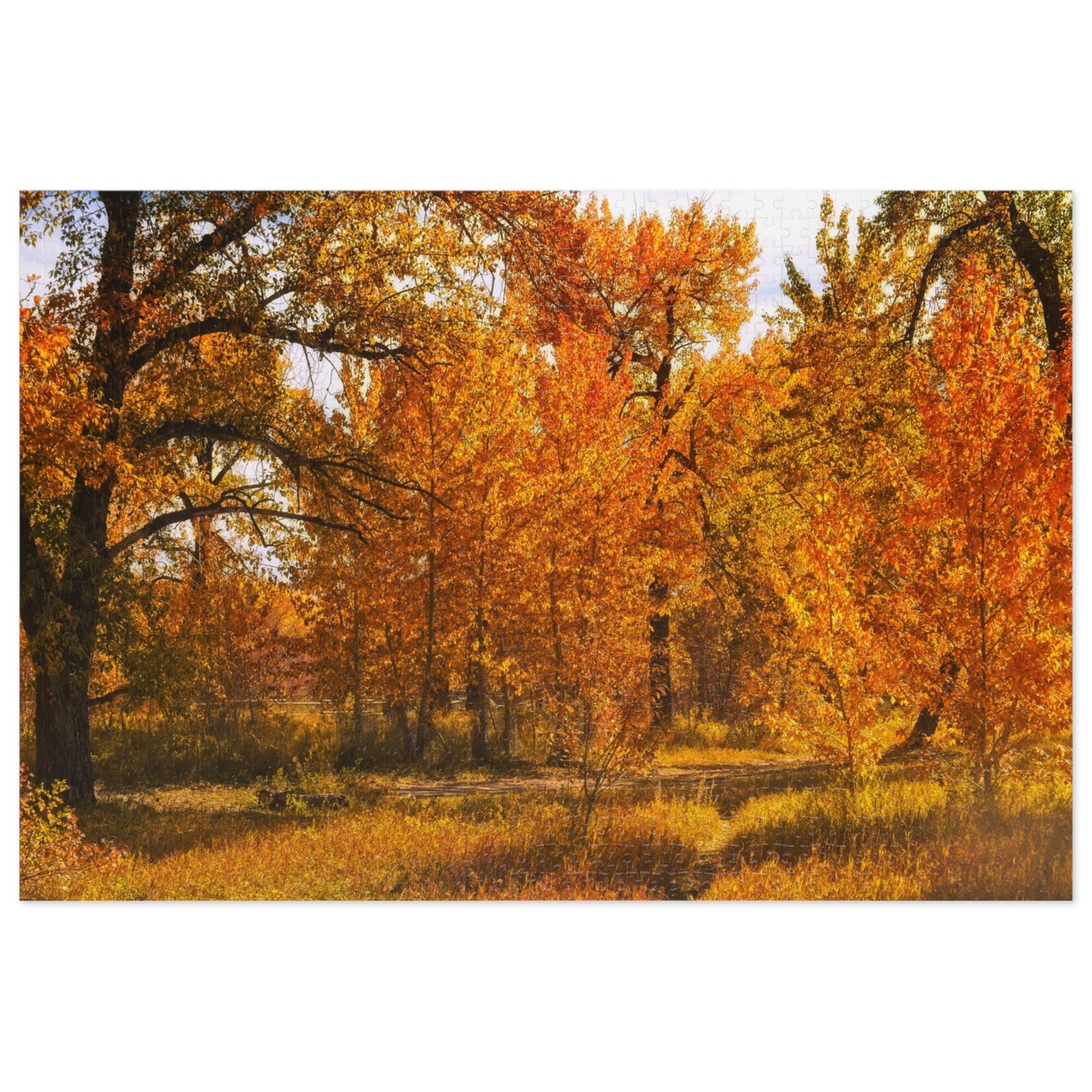 Jigsaw Puzzle (30, 110, 252, 500,1000-Piece) - Sue Higgins Park Fall Trees