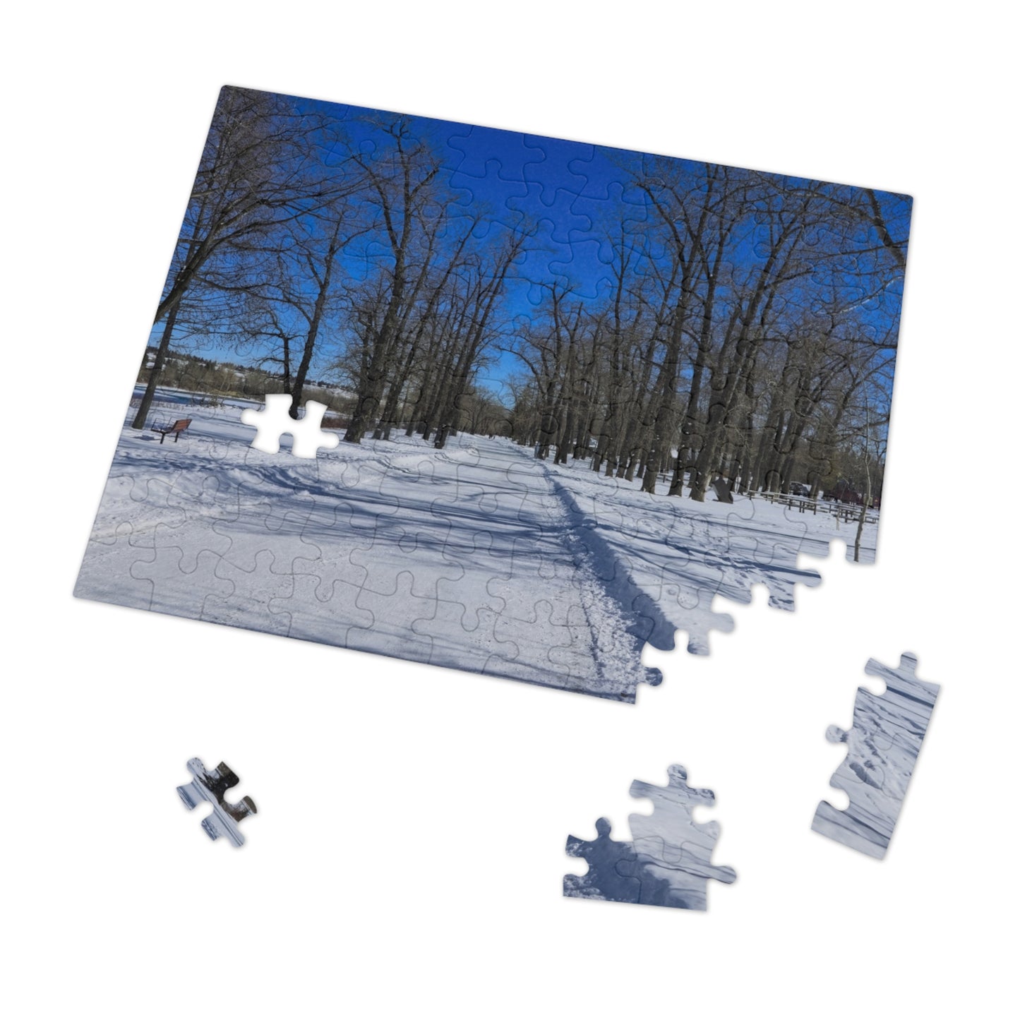 Jigsaw Puzzle (30, 110, 252, 500,1000-Piece) - Bowness Park Pathway Winter