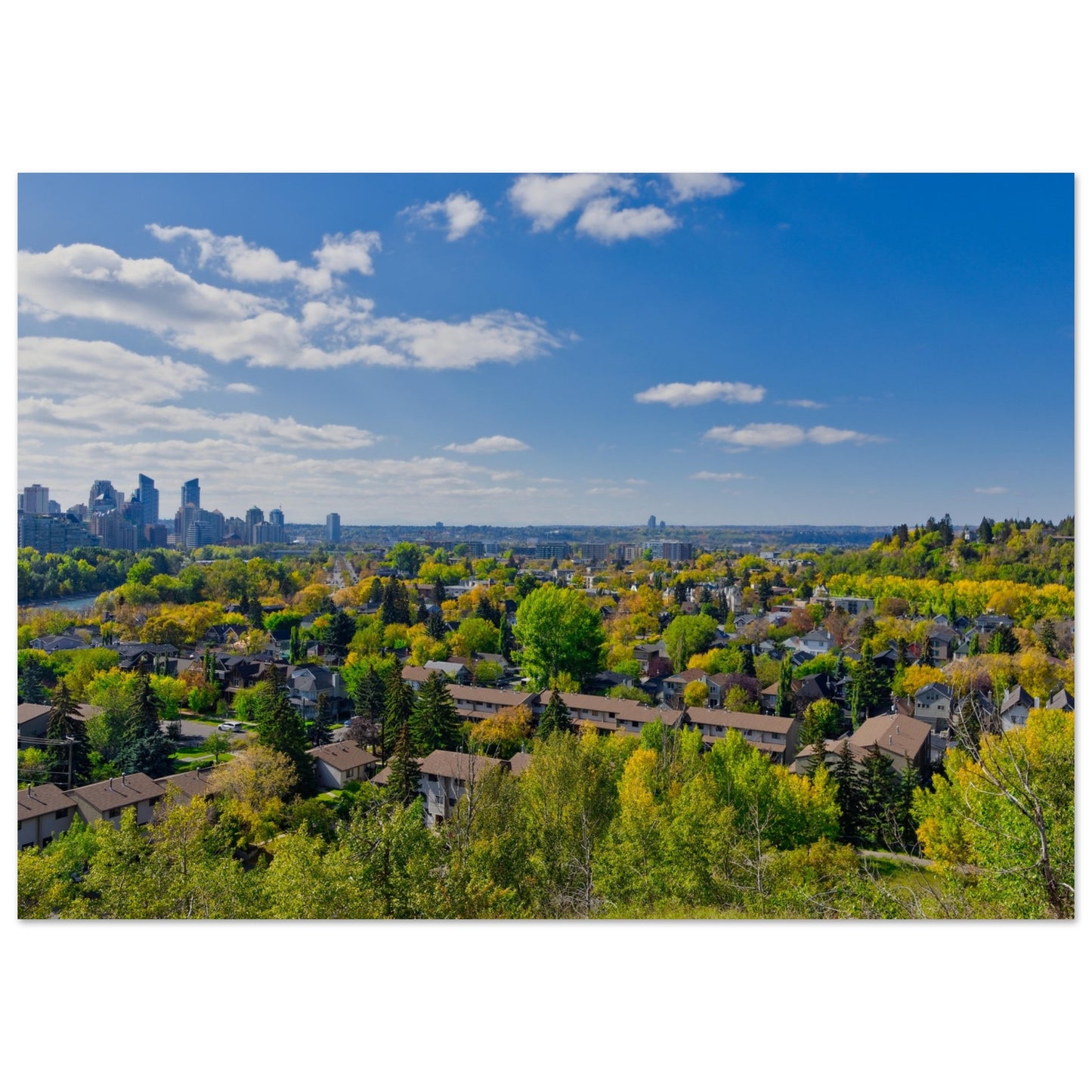 Premium Semi-Glossy Poster Print - McHugh Bluff Fall